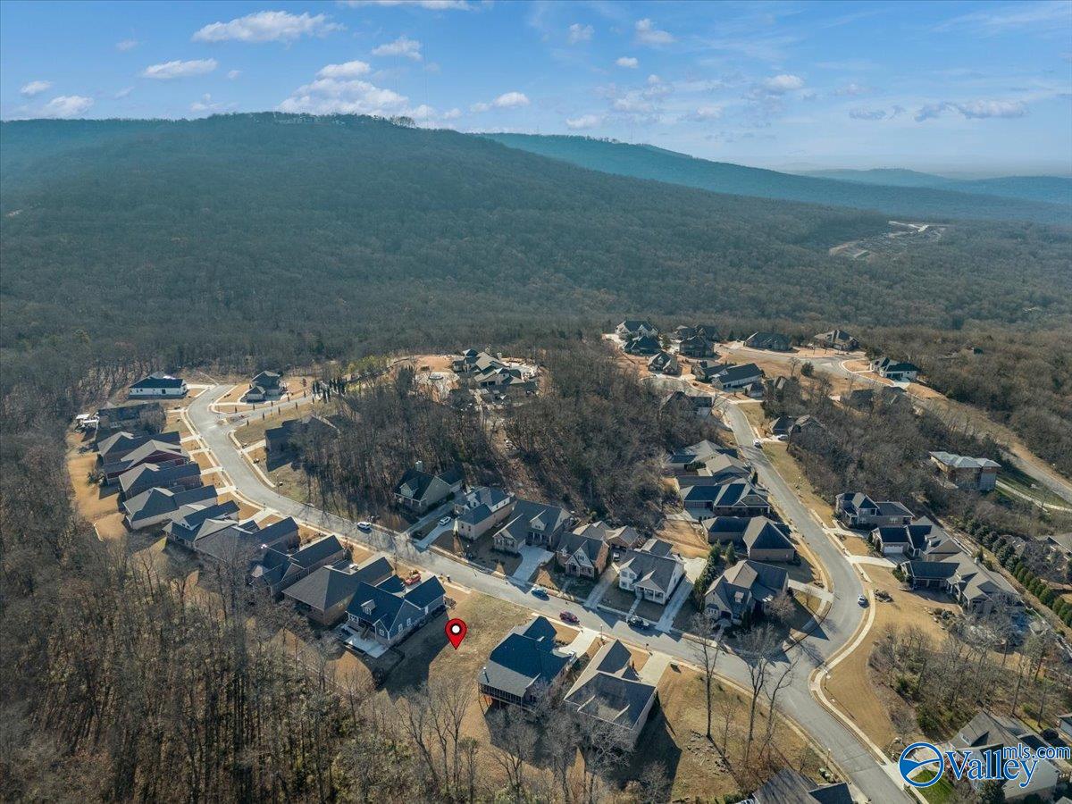 3974 Hawks Way, Huntsville, Alabama image 13