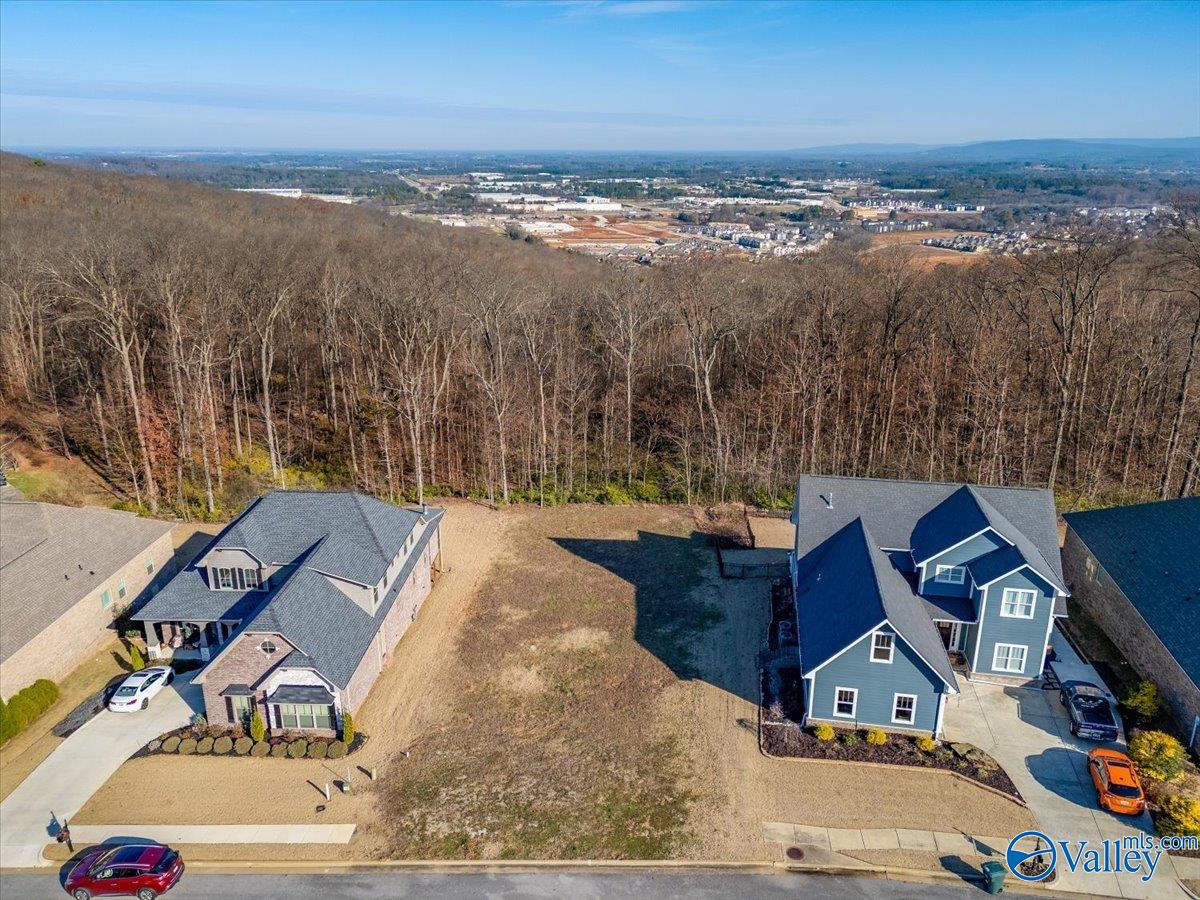 3974 Hawks Way, Huntsville, Alabama image 1