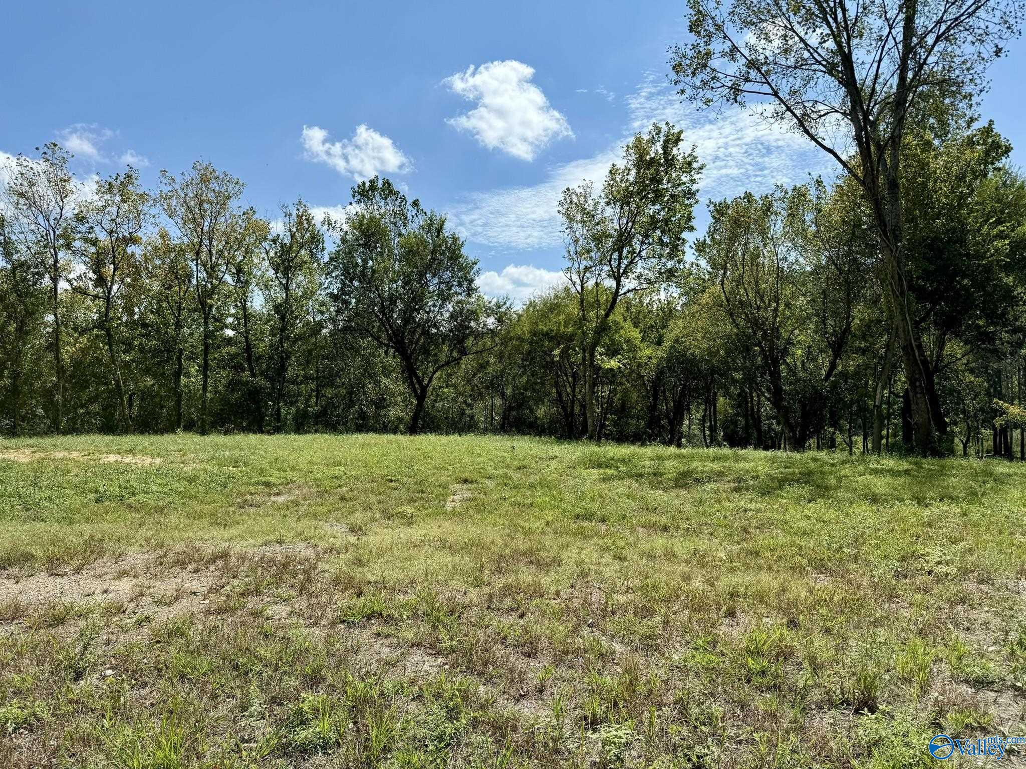 Lot 5 & 6 Morrow Street, Guntersville, Alabama image 12