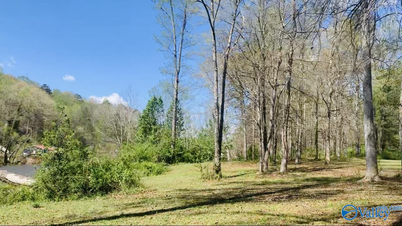 Lot 5 & 6 Morrow Street, Guntersville, Alabama image 11