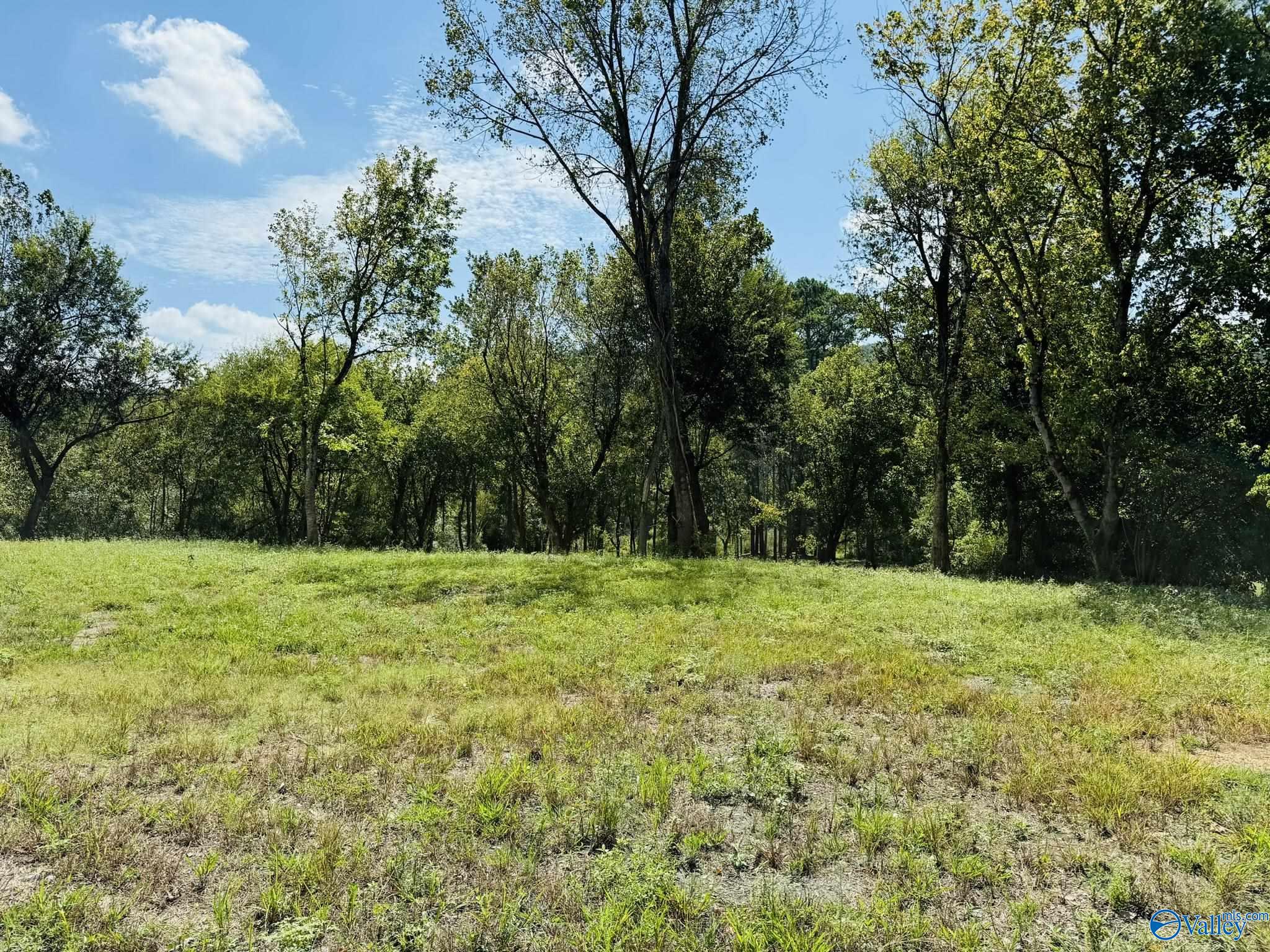 Lot 5 & 6 Morrow Street, Guntersville, Alabama image 13