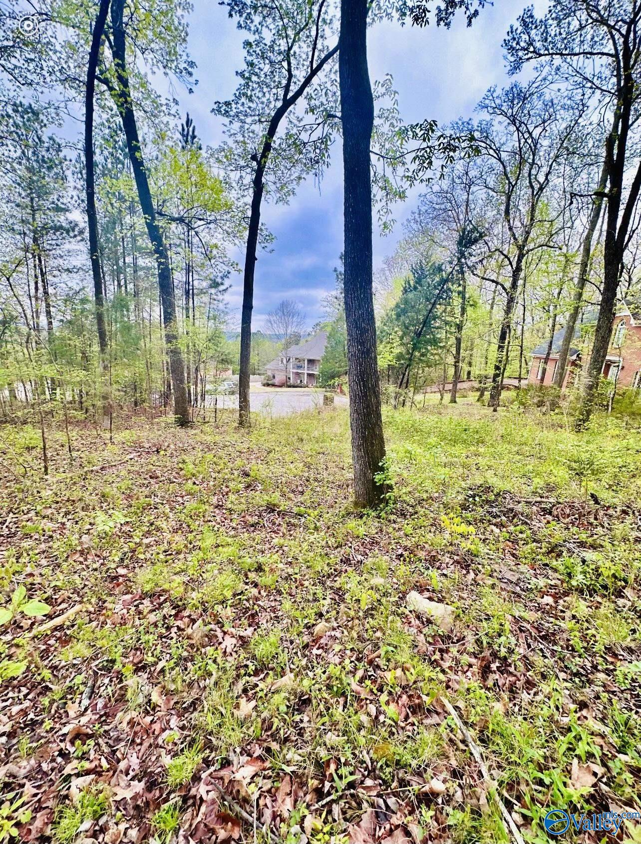 Lot 14 Murray Drive, Decatur, Alabama image 3