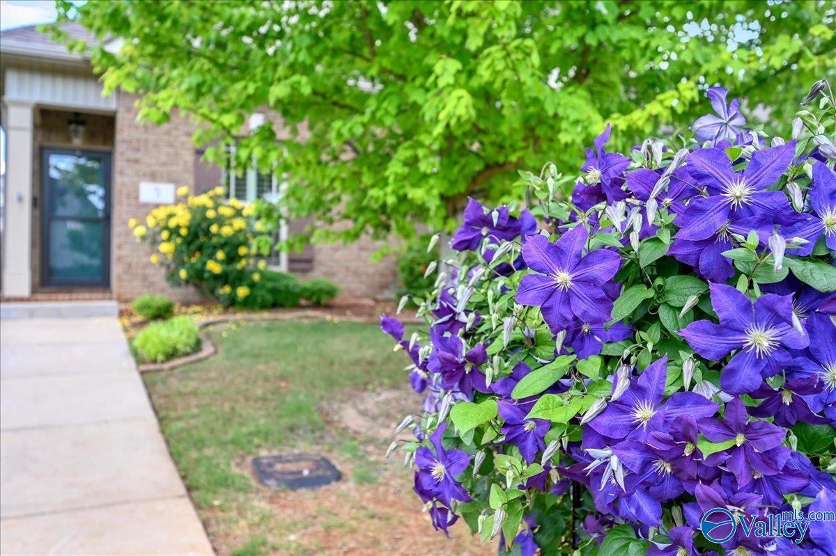5 Leyland Drive, Huntsville, Alabama image 3