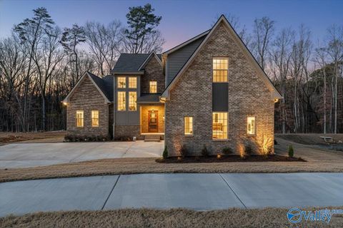 Homes For Sale - 13314 Grand Reunion Drive<br/> Huntsville, AL 35803