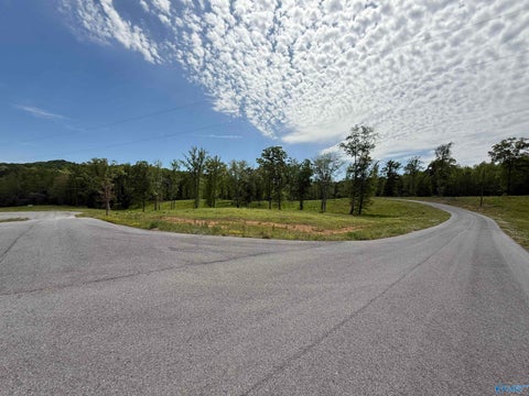 Vacant Land For Sale - LANTANA HAVEN Ashville Road<br/> Altoona, AL 35952
