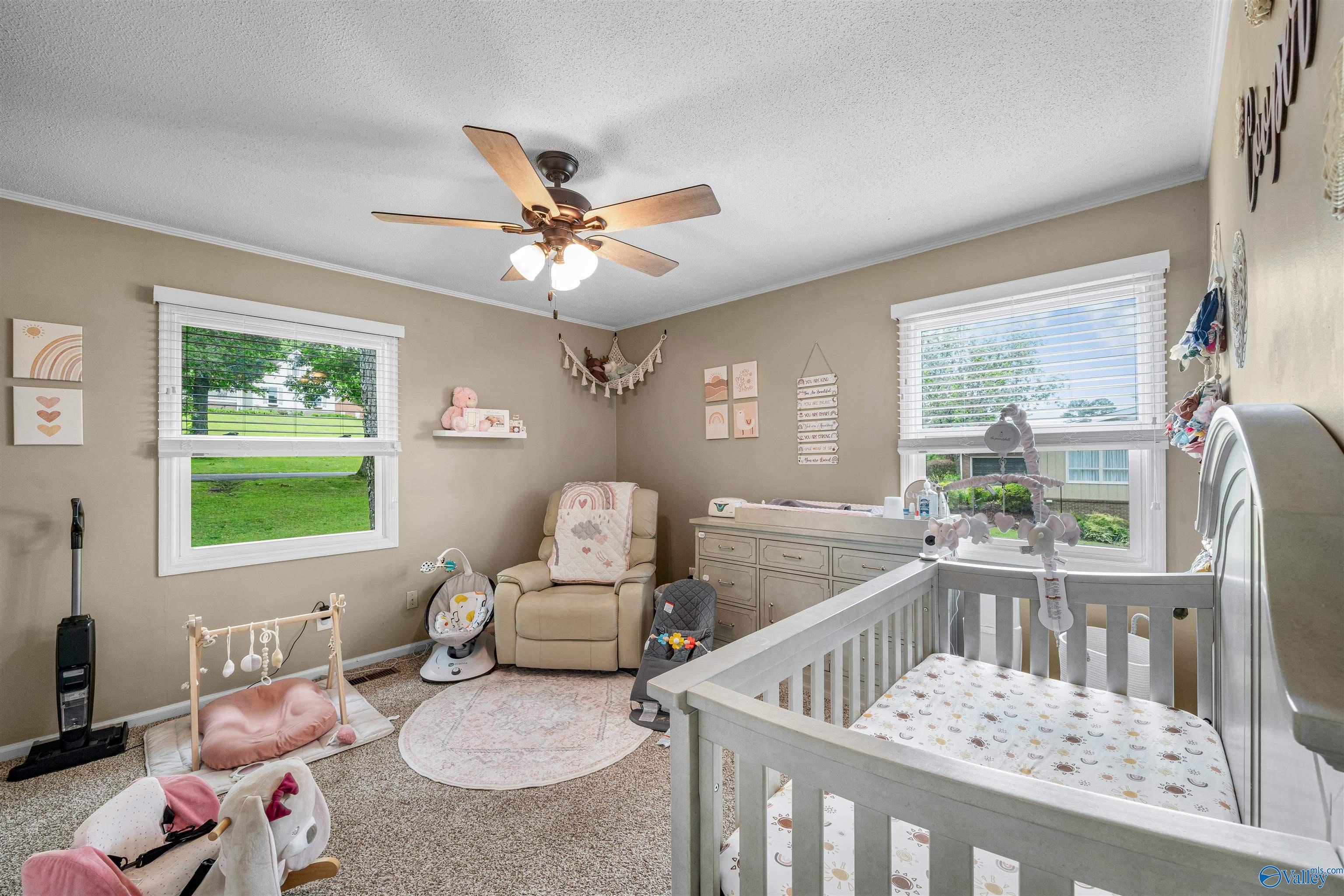 5304 Big Wills Drive, Fort Payne, Alabama image 18