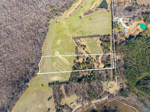 Vacant Land For Sale - TRACT 2 4610 County Road 81<br/> Flat Rock, AL 35966