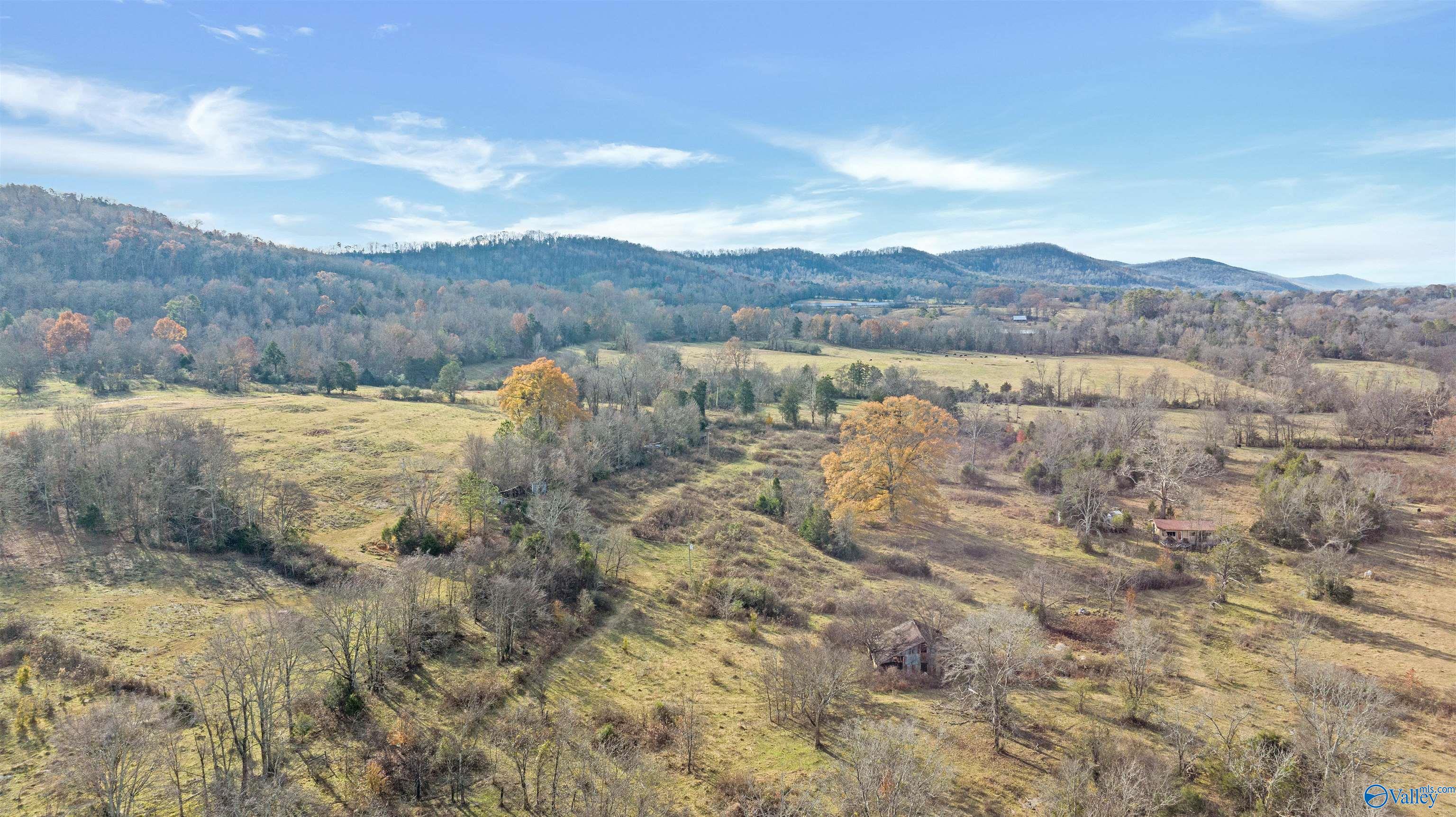 551 Acres County Road 530, Collinsville, Alabama image 40