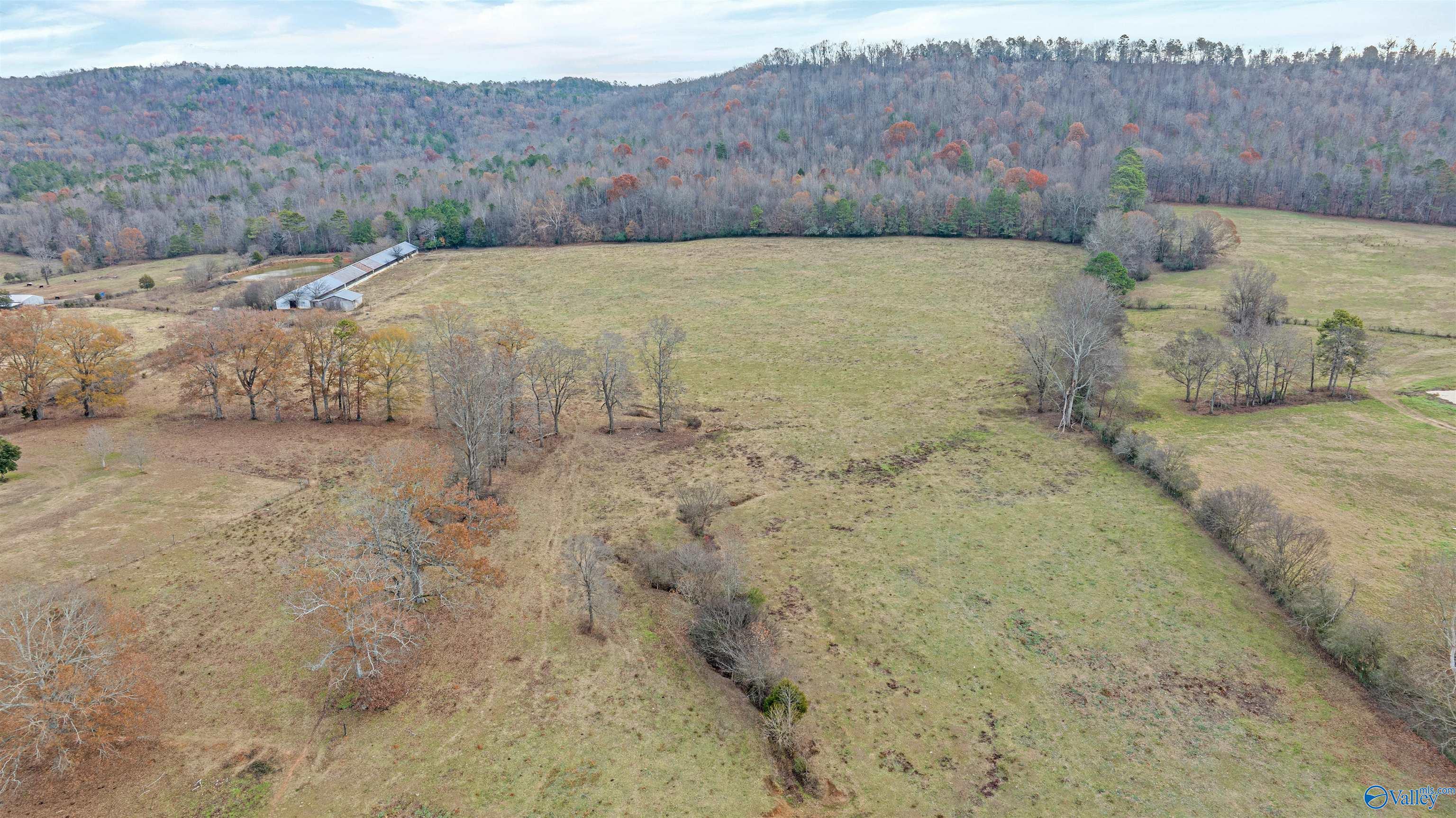 551 Acres County Road 530, Collinsville, Alabama image 20