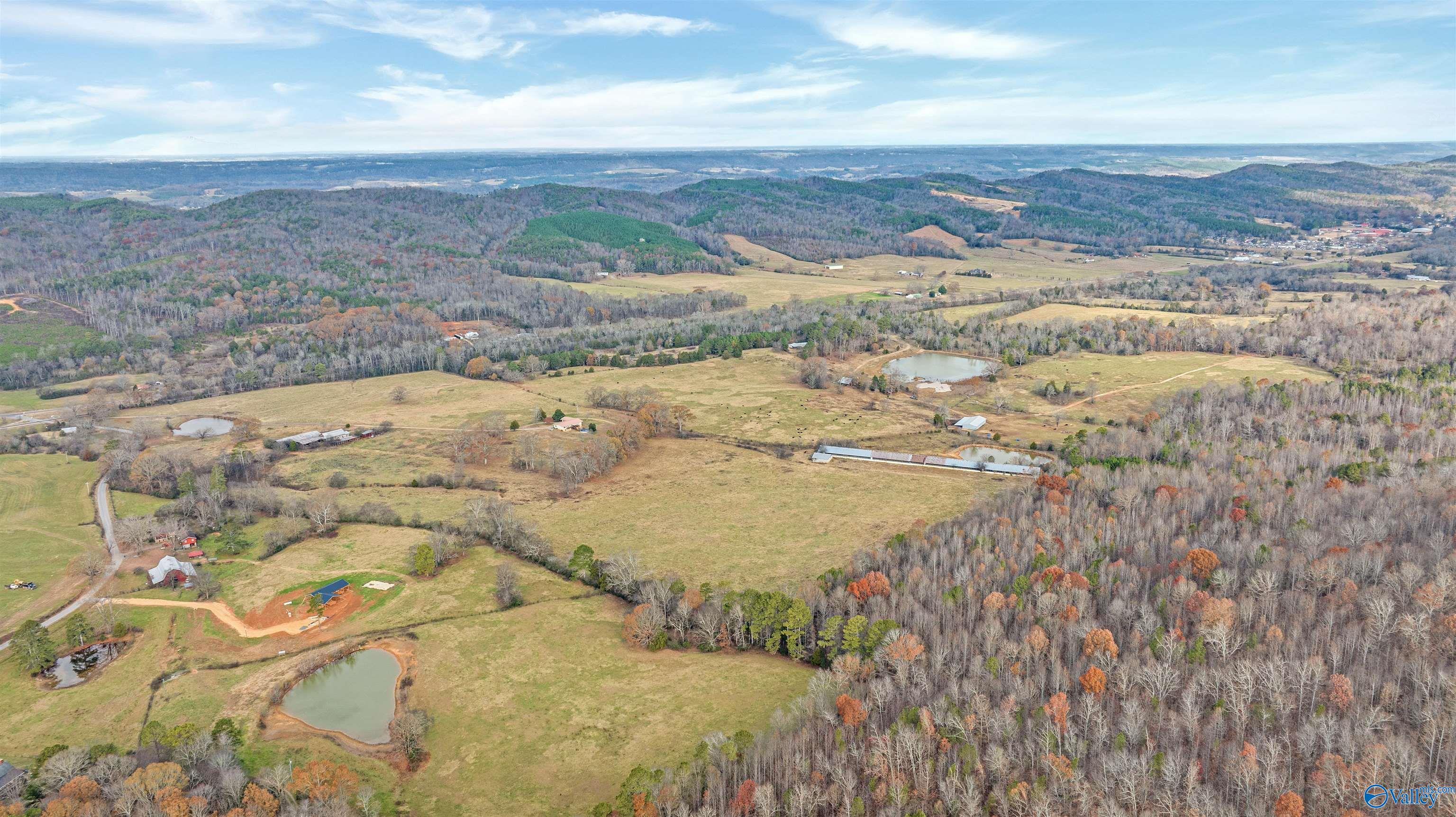 551 Acres County Road 530, Collinsville, Alabama image 23