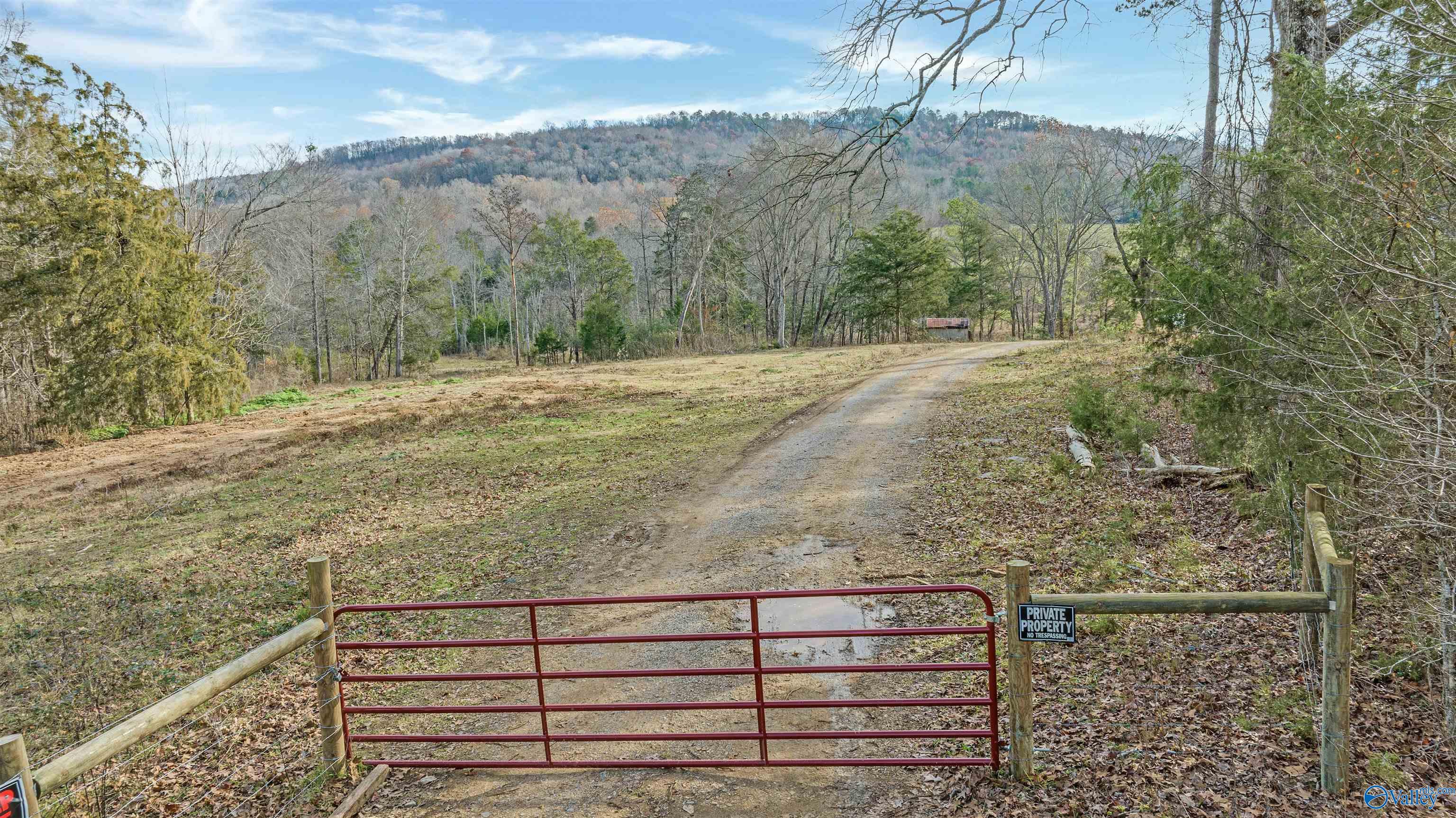 551 Acres County Road 530, Collinsville, Alabama image 34