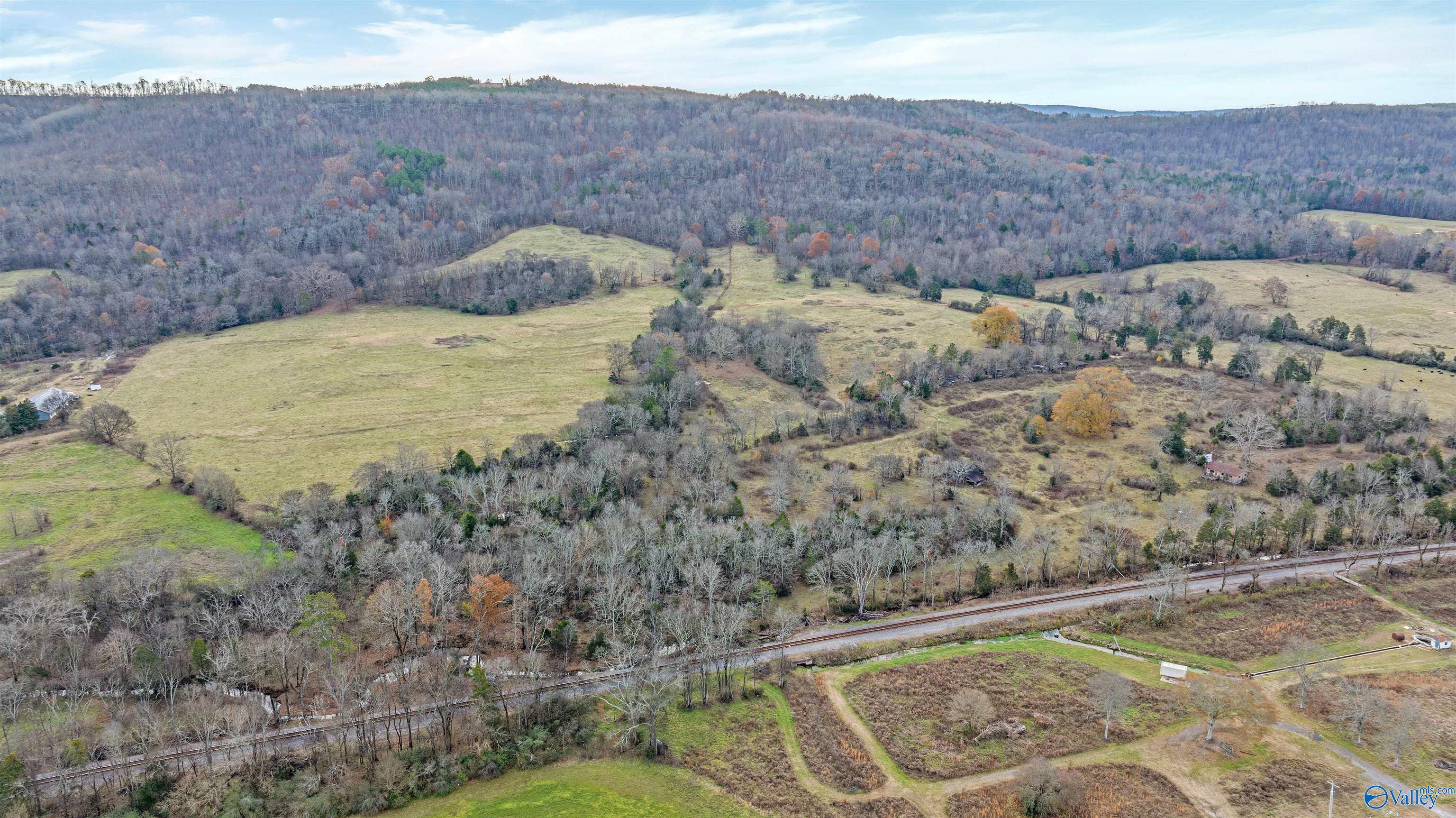 551 Acres County Road 530, Collinsville, Alabama image 8