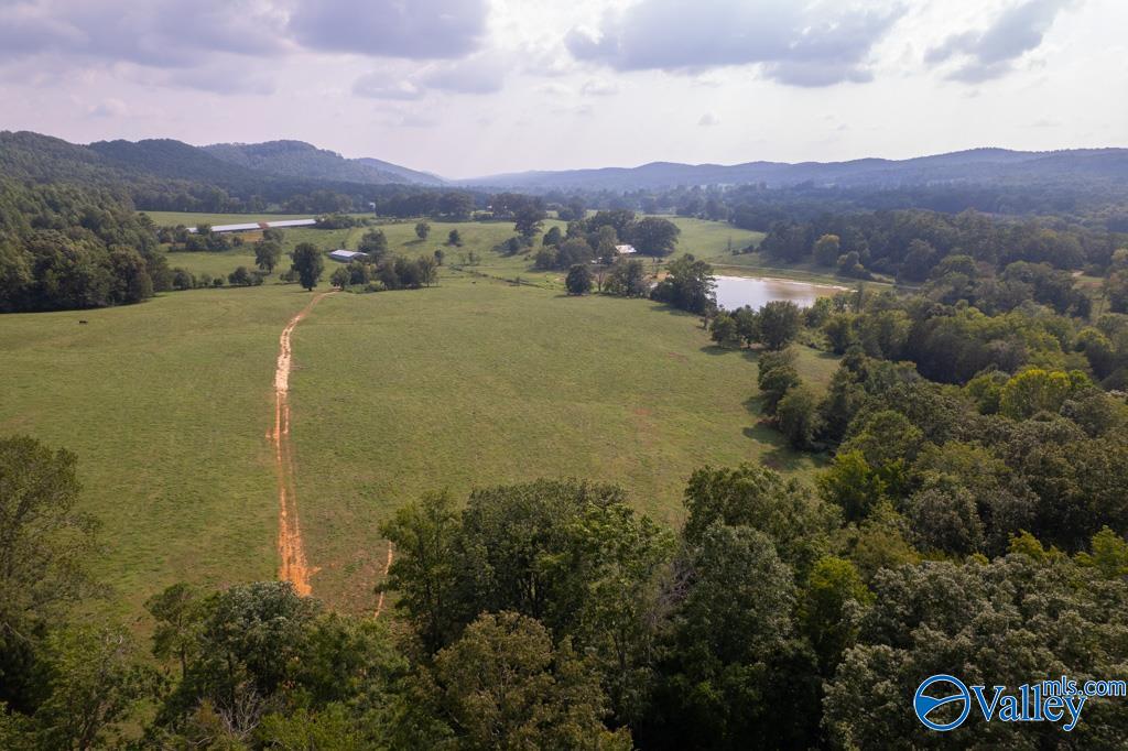 551 Acres County Road 530, Collinsville, Alabama image 1