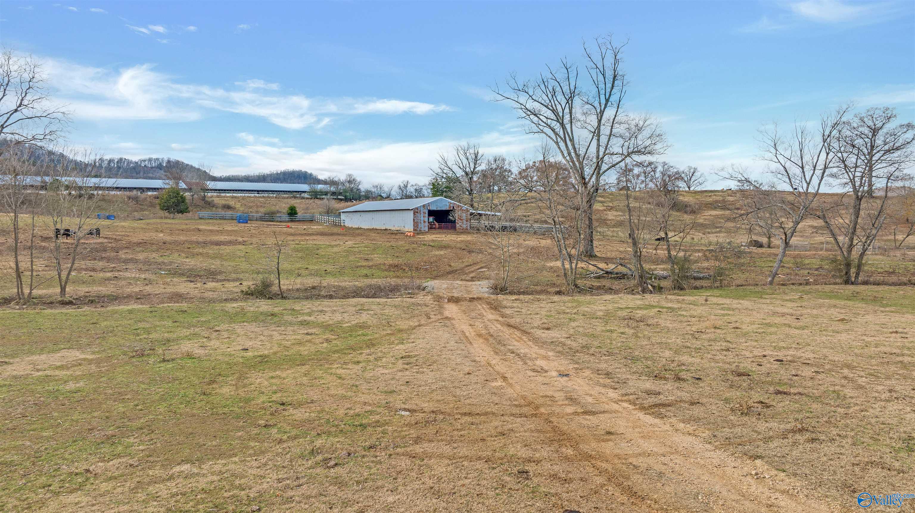 551 Acres County Road 530, Collinsville, Alabama image 46