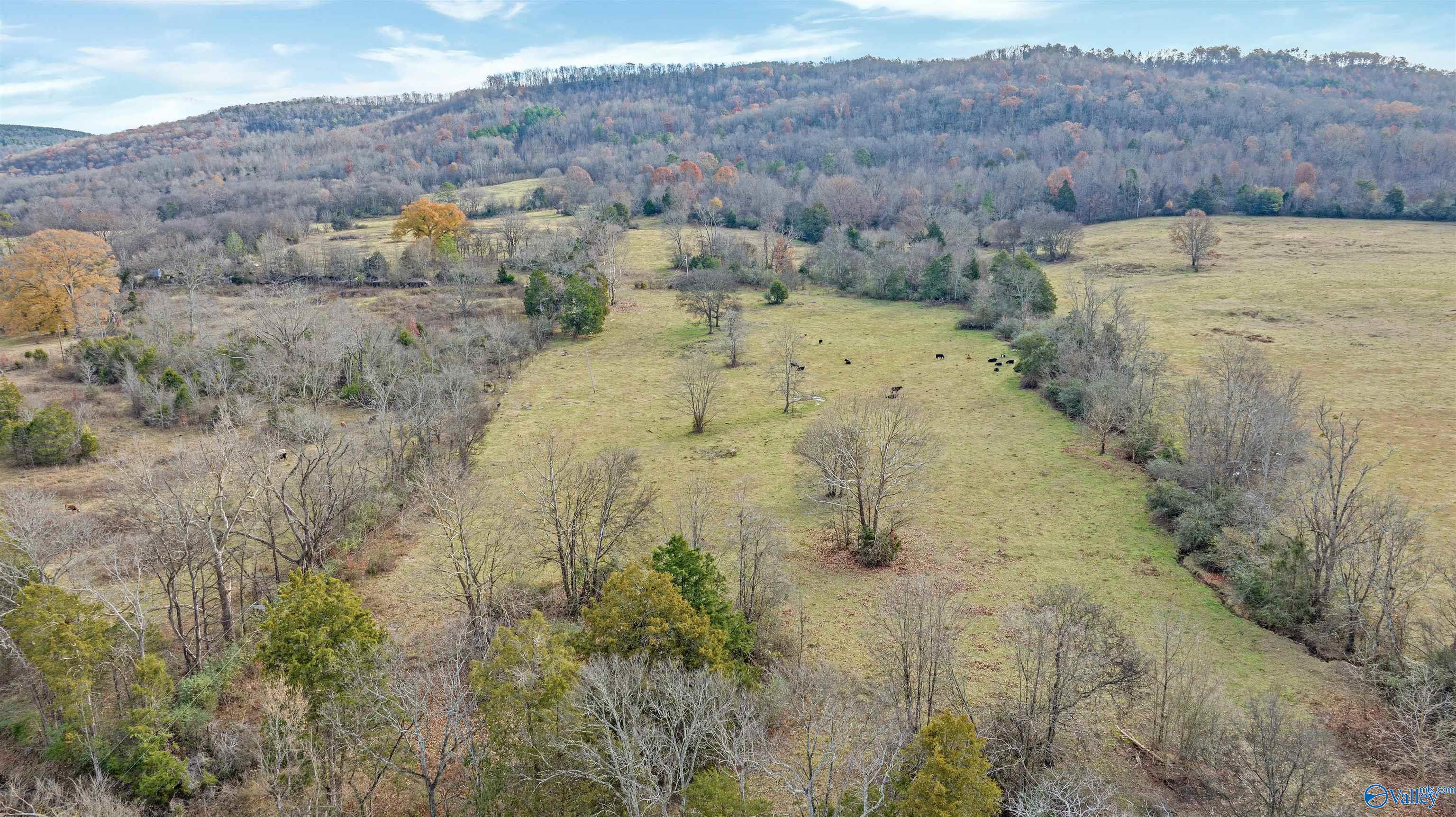 551 Acres County Road 530, Collinsville, Alabama image 32