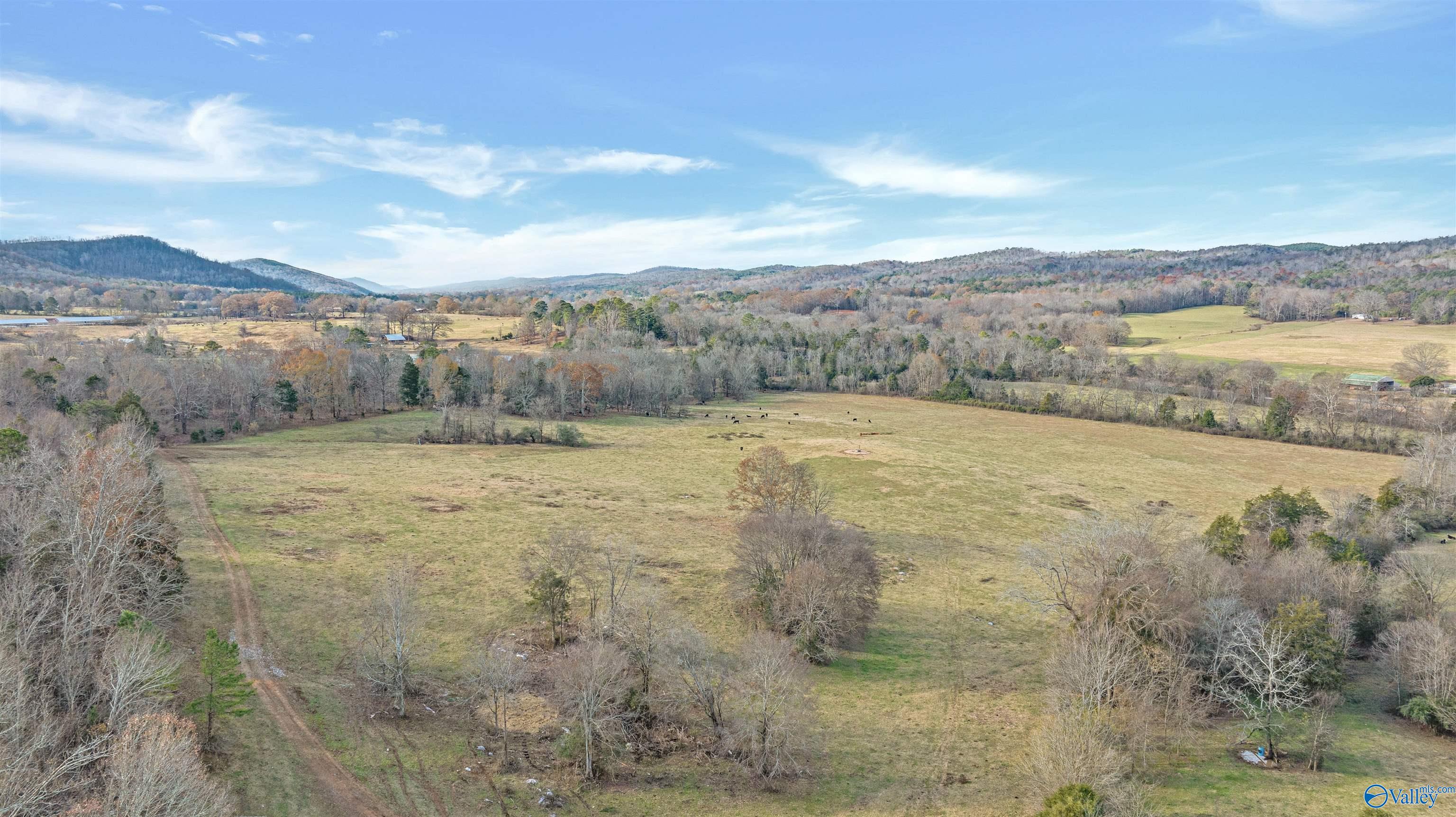 551 Acres County Road 530, Collinsville, Alabama image 41