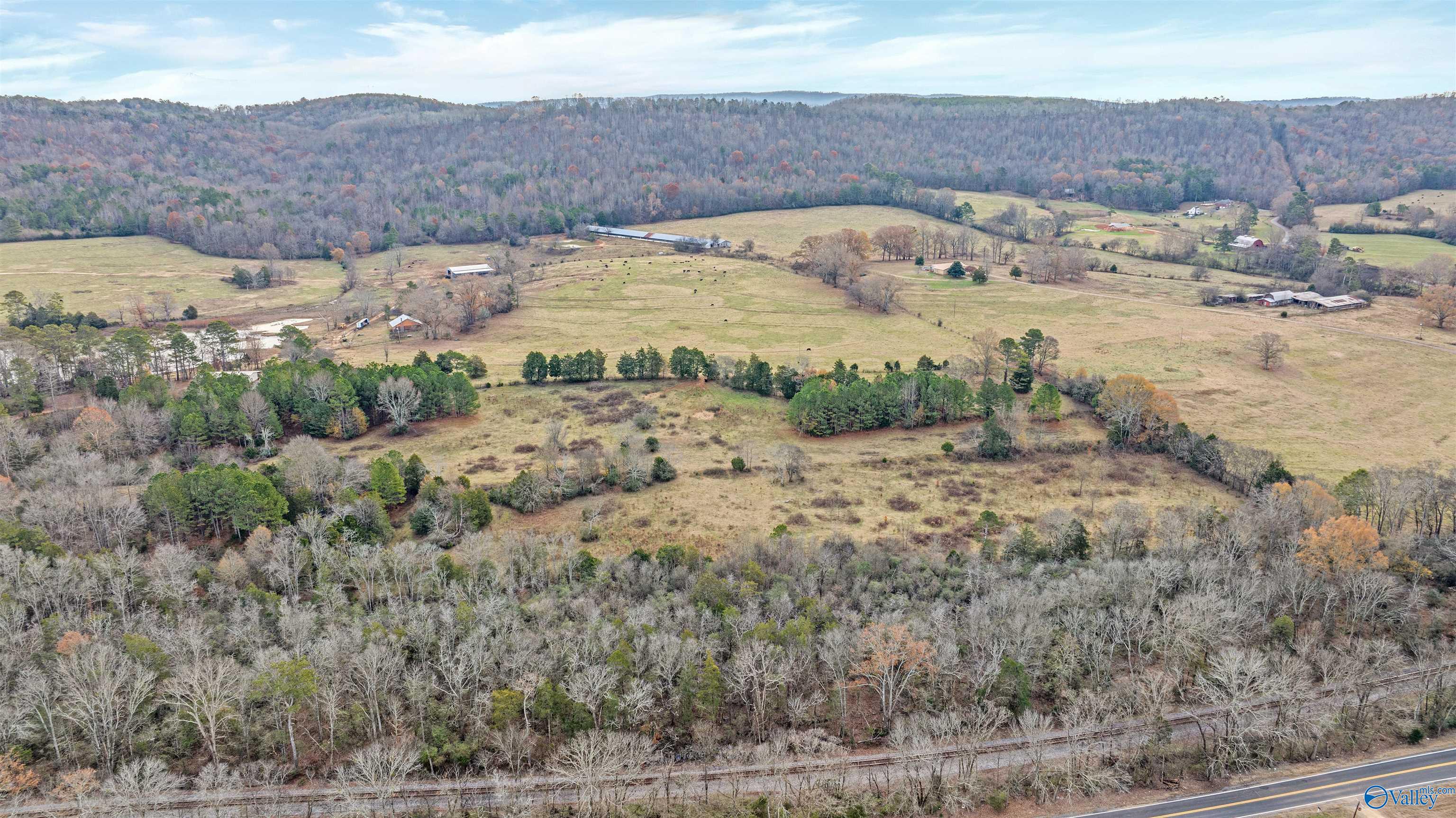 551 Acres County Road 530, Collinsville, Alabama image 11