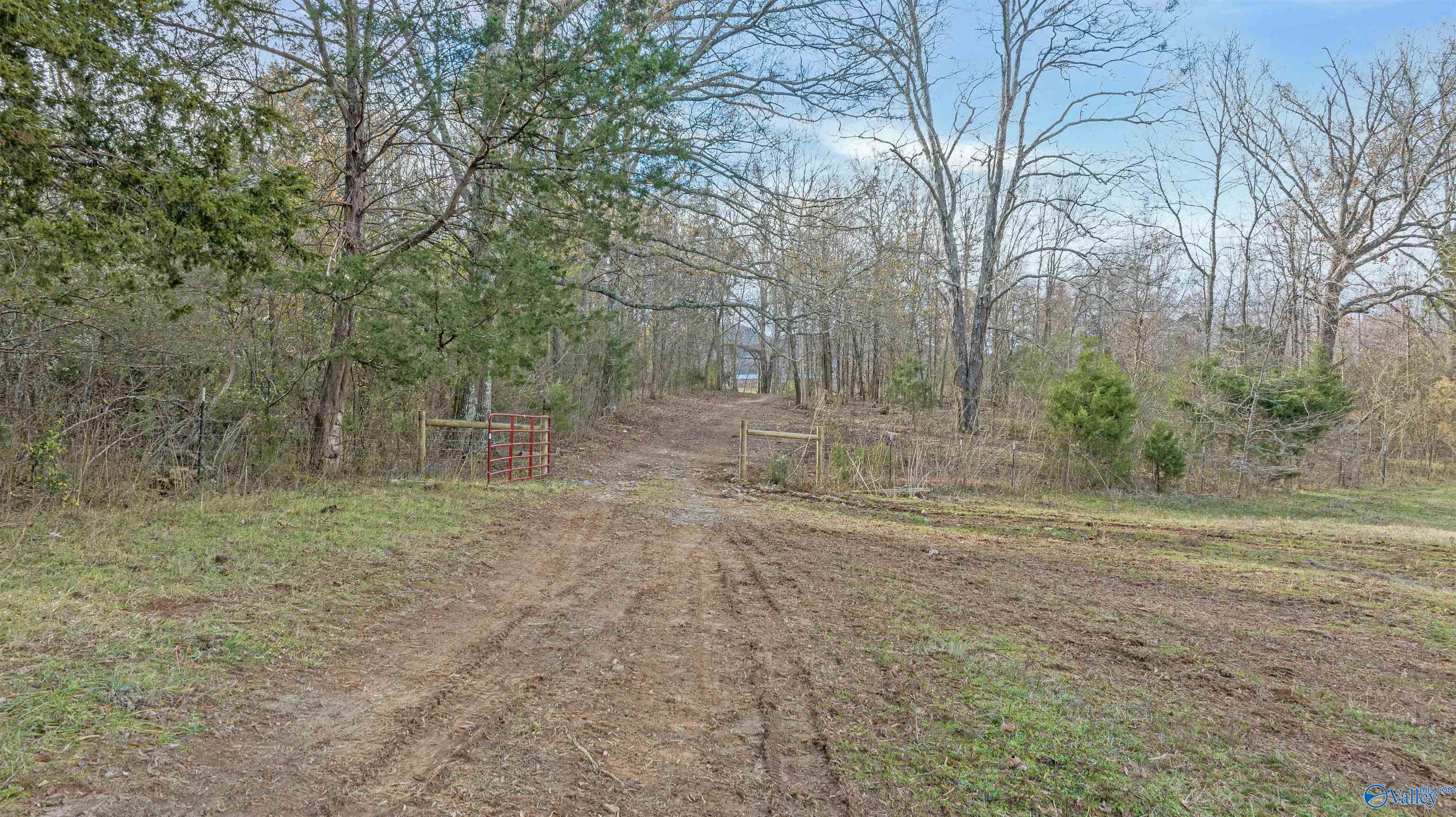 551 Acres County Road 530, Collinsville, Alabama image 43