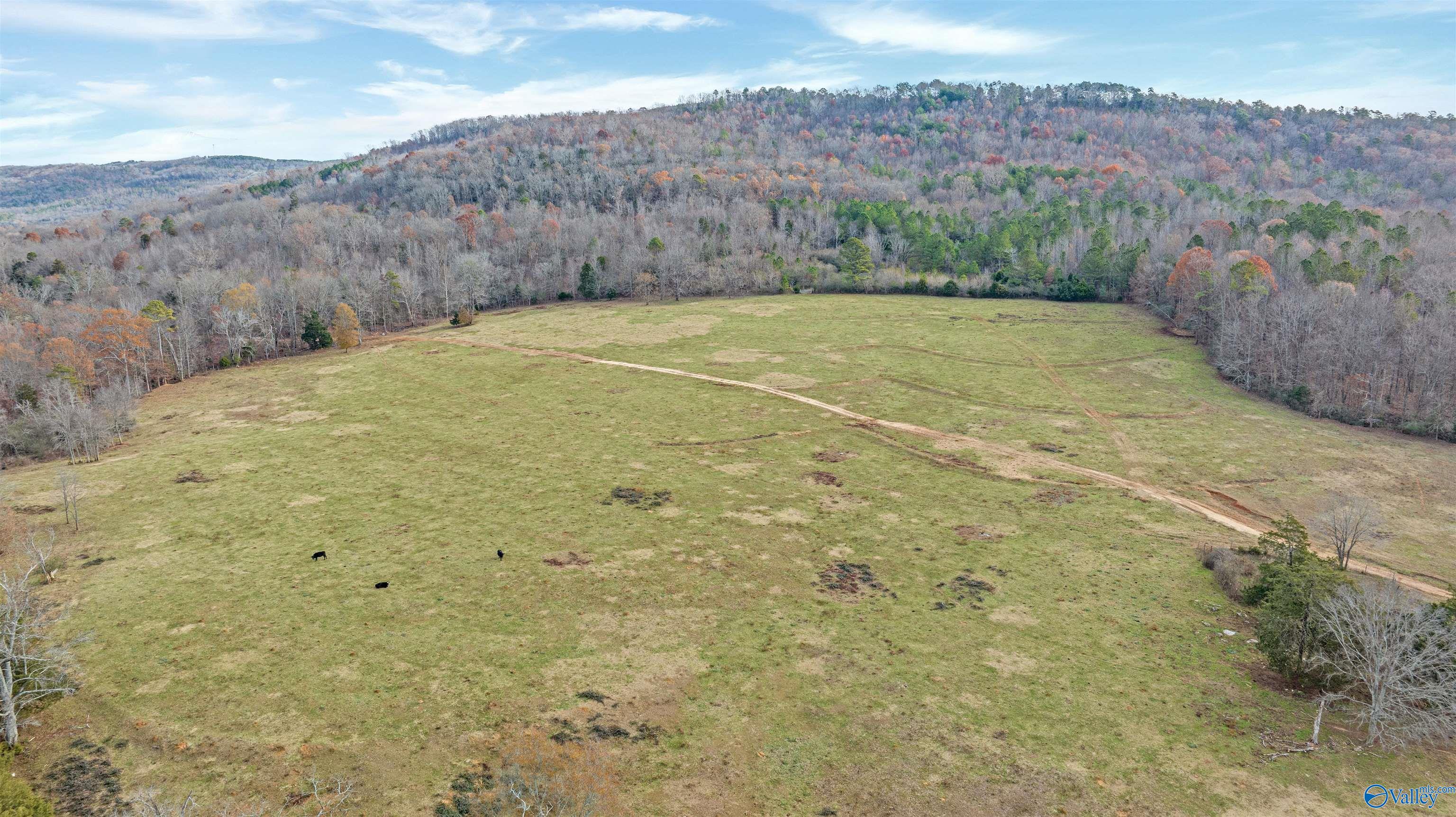 551 Acres County Road 530, Collinsville, Alabama image 28