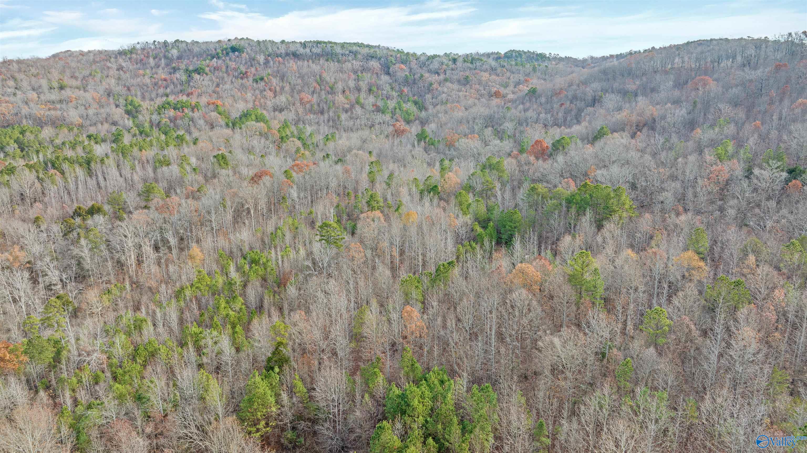 551 Acres County Road 530, Collinsville, Alabama image 25