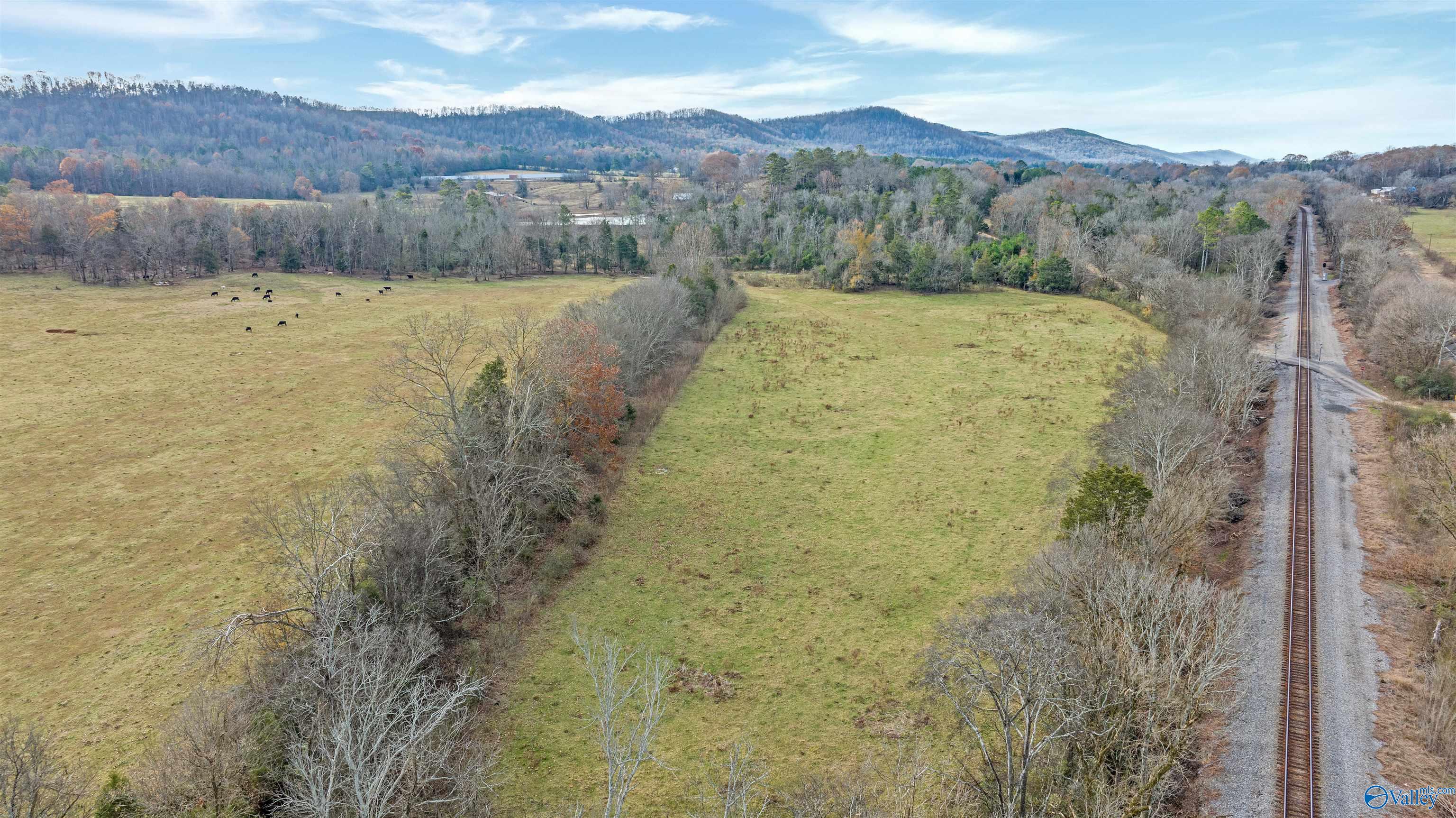 551 Acres County Road 530, Collinsville, Alabama image 31