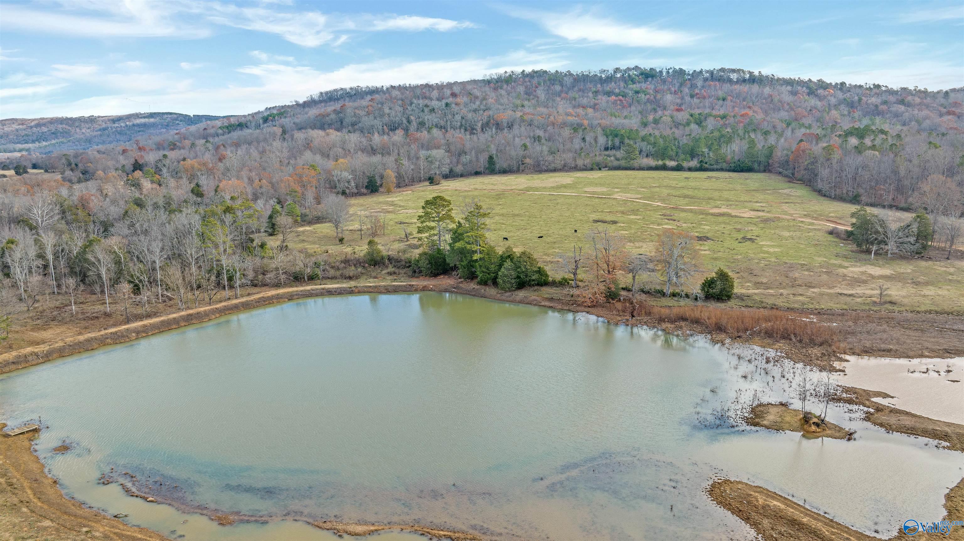 551 Acres County Road 530, Collinsville, Alabama image 48