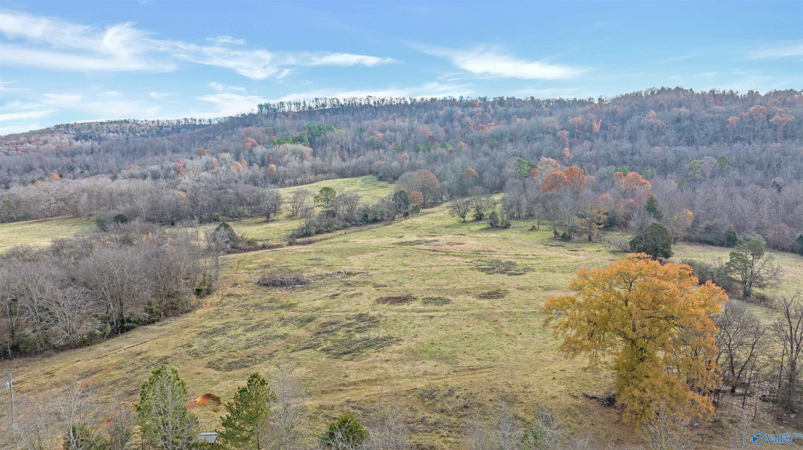 551 Acres County Road 530, Collinsville, Alabama image 36