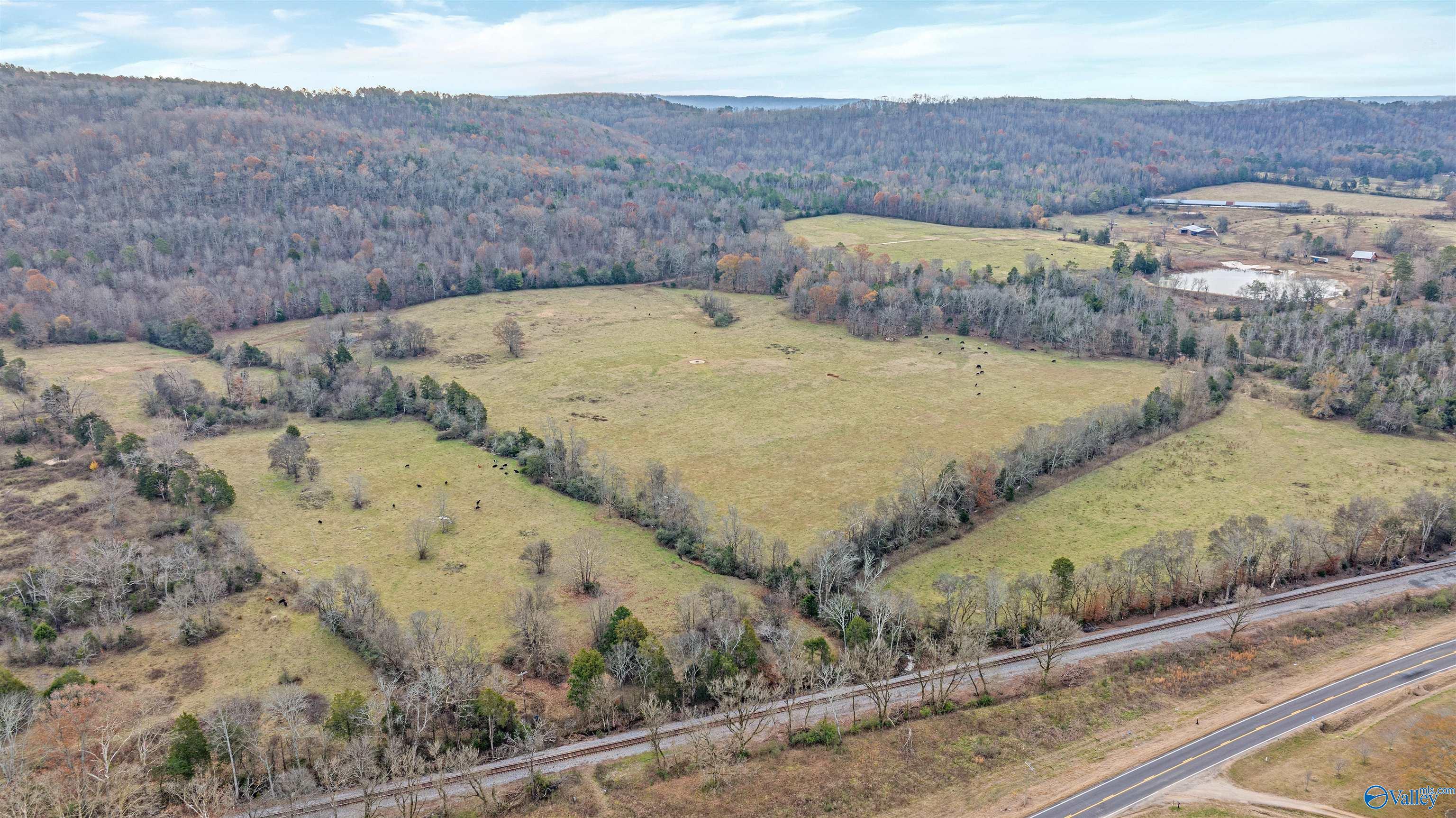 551 Acres County Road 530, Collinsville, Alabama image 9