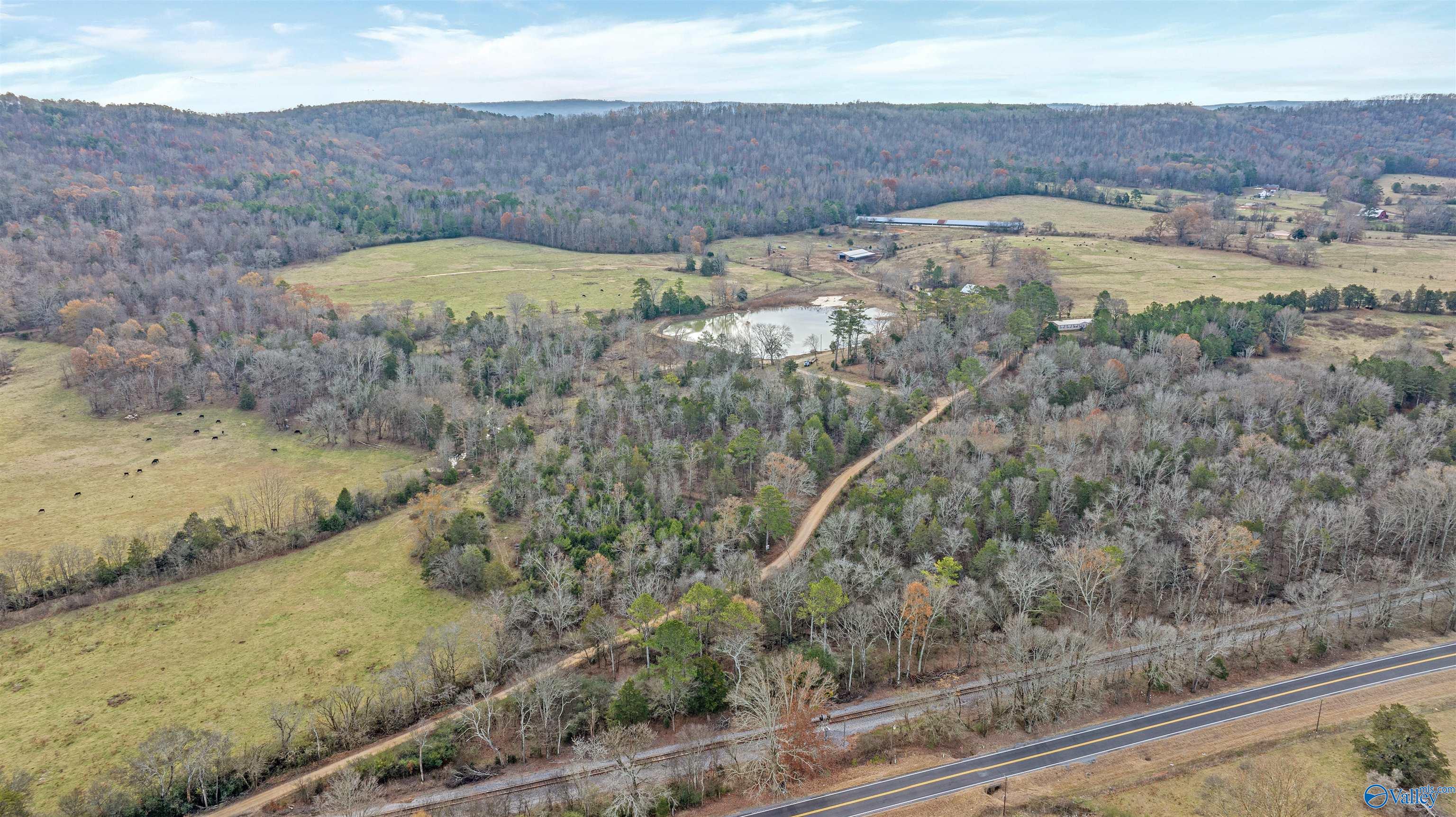 551 Acres County Road 530, Collinsville, Alabama image 10