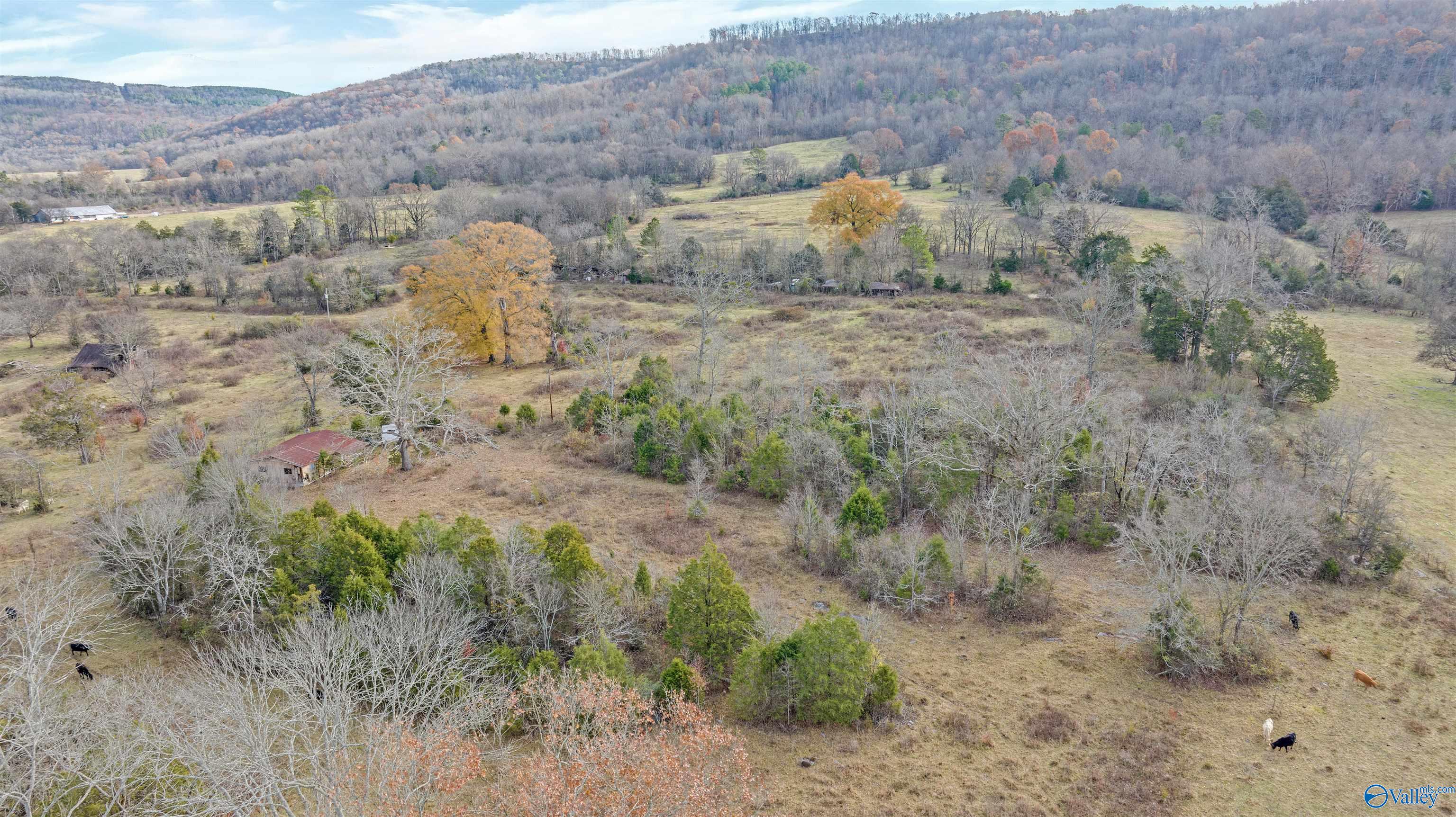 551 Acres County Road 530, Collinsville, Alabama image 33