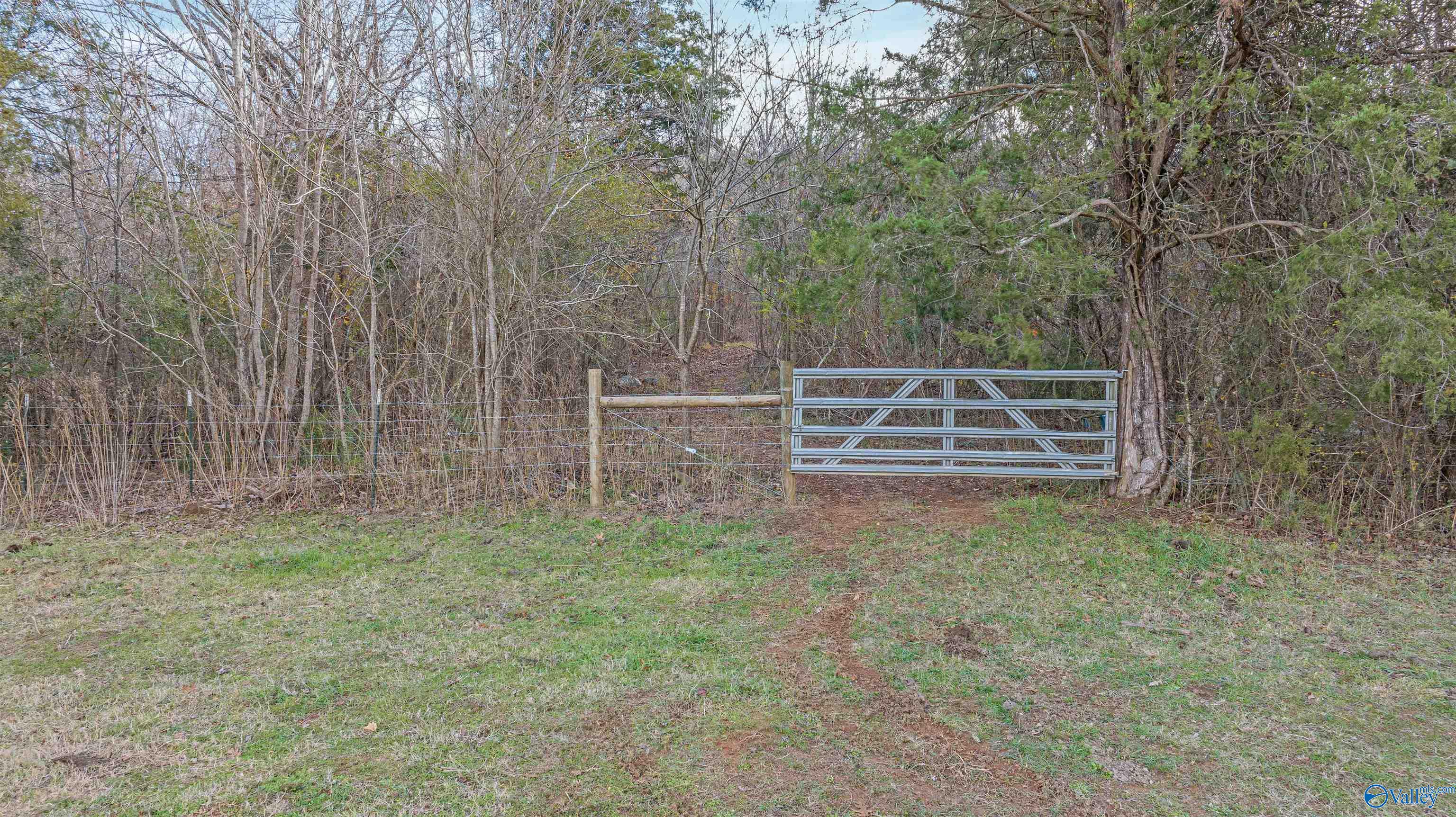 551 Acres County Road 530, Collinsville, Alabama image 42