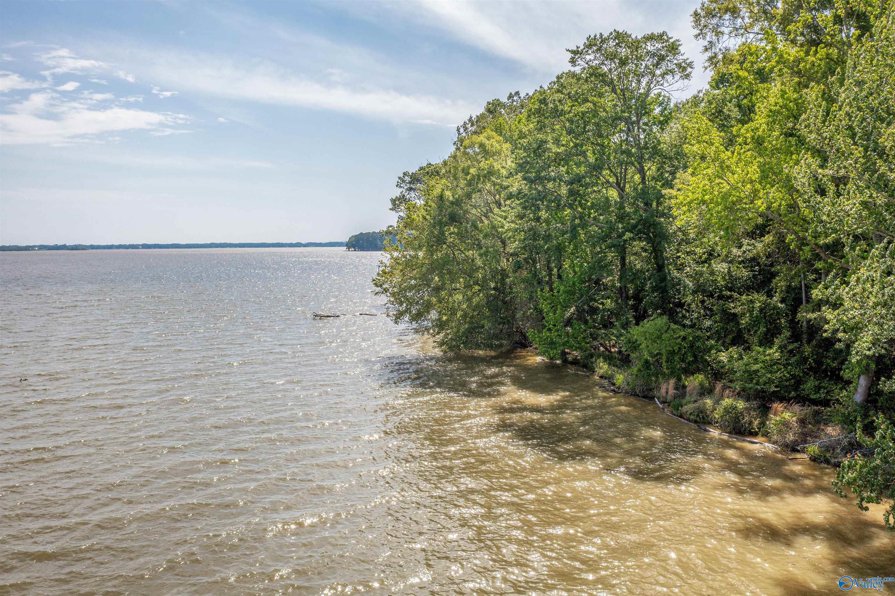 CC Moneys Bend Road, Cedar Bluff, Alabama image 17