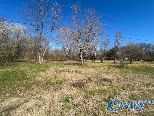 125 RIVERDALE DR, LACEYS SPRING, AL 35754 - Image f6f56aa1ae1162cb3e80be994f4a5ddc/3092145084