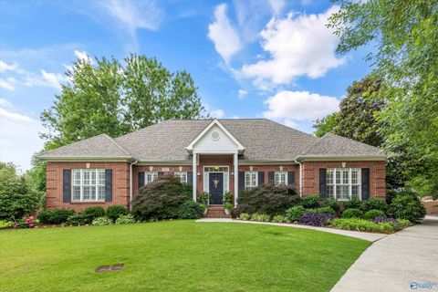 Photo of 2902 Winterberry Way, Owens Cross Roads, AL 35763 (MLS # 21919355)
