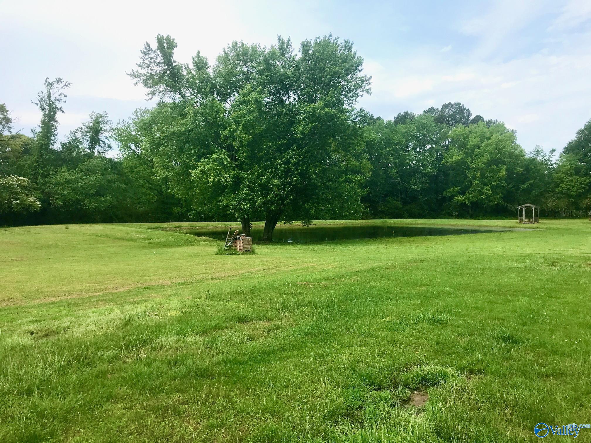 10510 Wall Triana Hwy, Toney, Alabama image 20