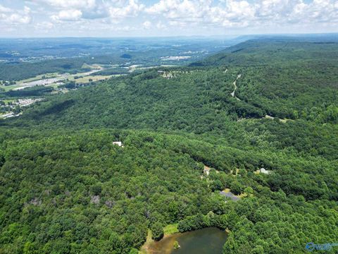 Vacant Land For Sale - LOT 8 County Road 166 (citadel Rock Road)<br/> Fort Payne, AL 35967