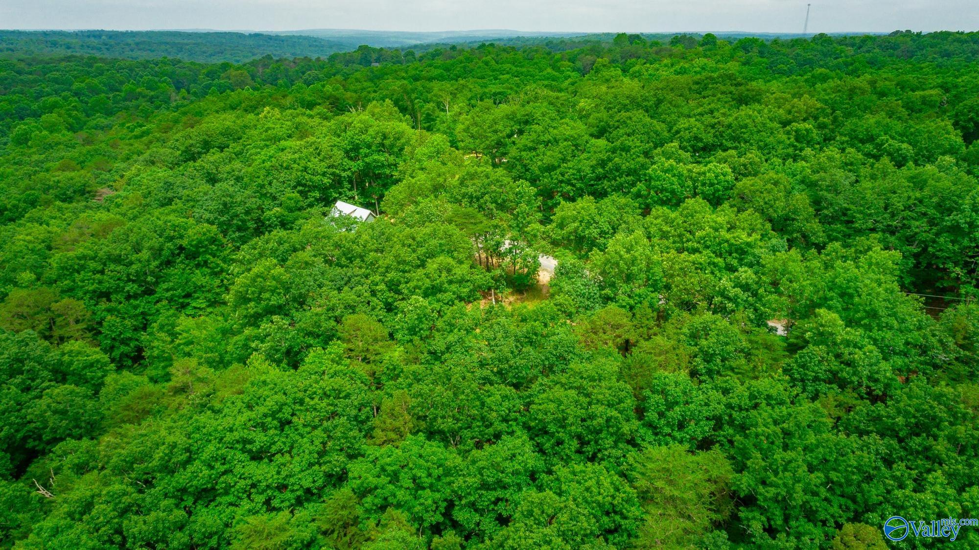 237 County Road 844, Mentone, Alabama image 14