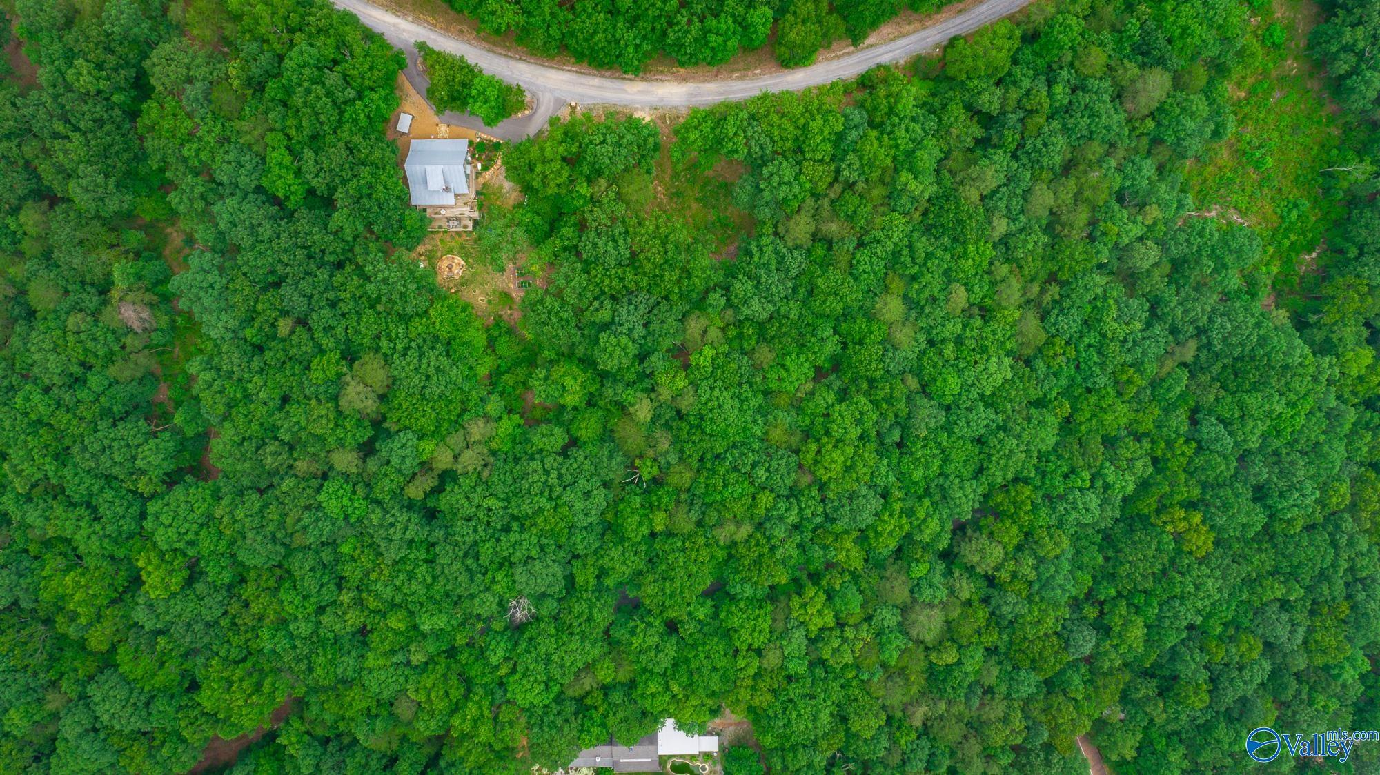 237 County Road 844, Mentone, Alabama image 9