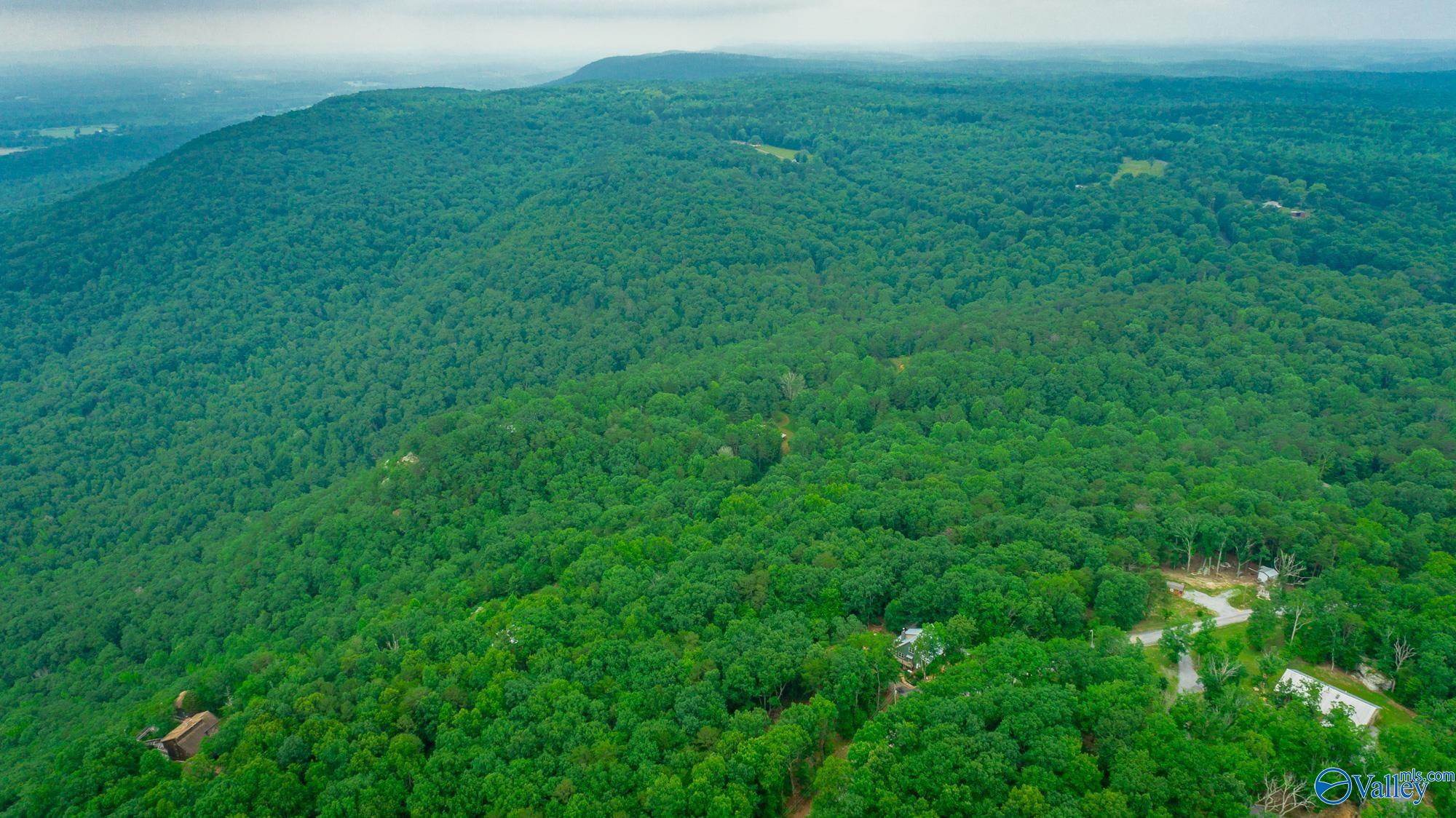 237 County Road 844, Mentone, Alabama image 22