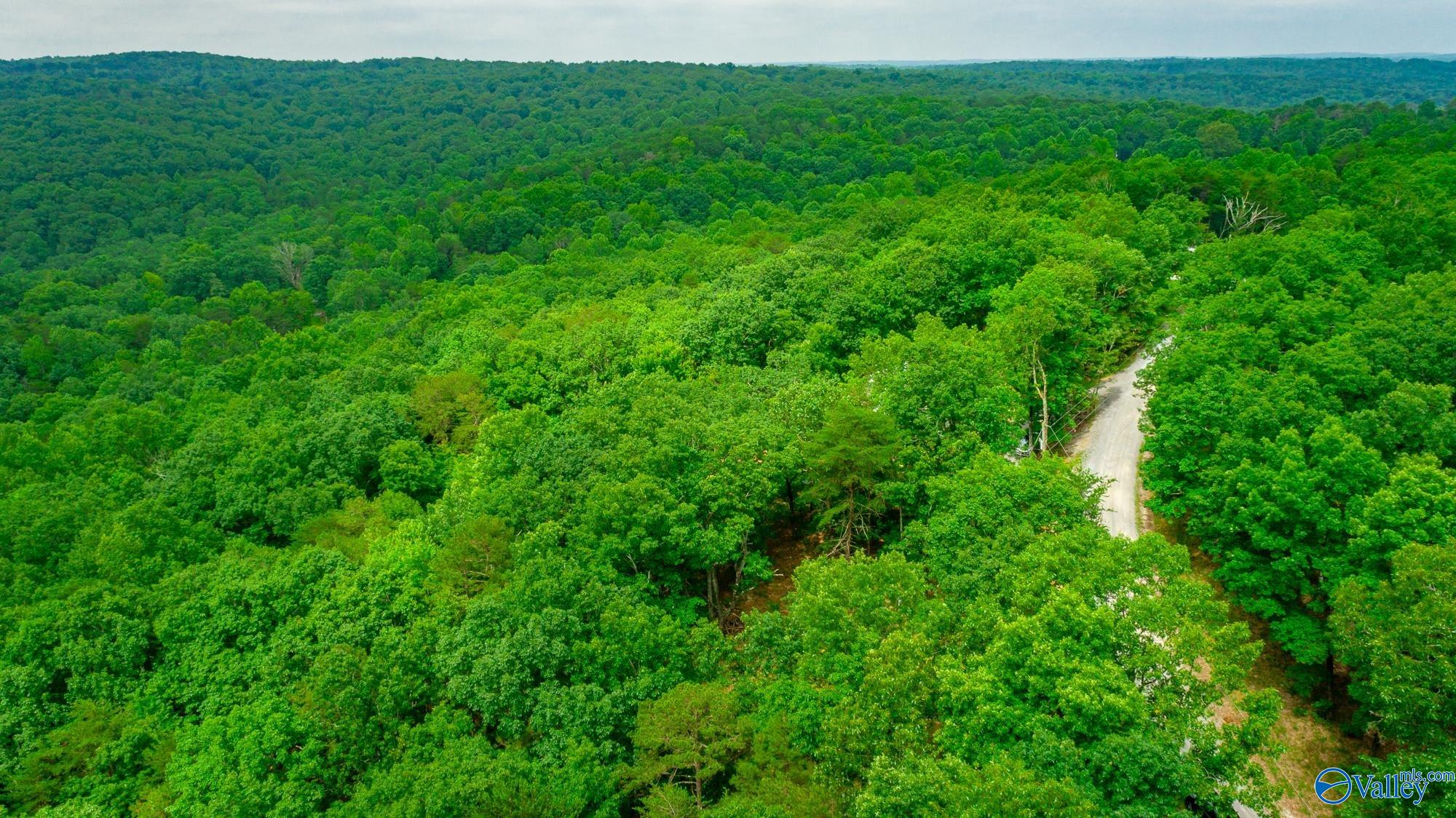 237 County Road 844, Mentone, Alabama image 15