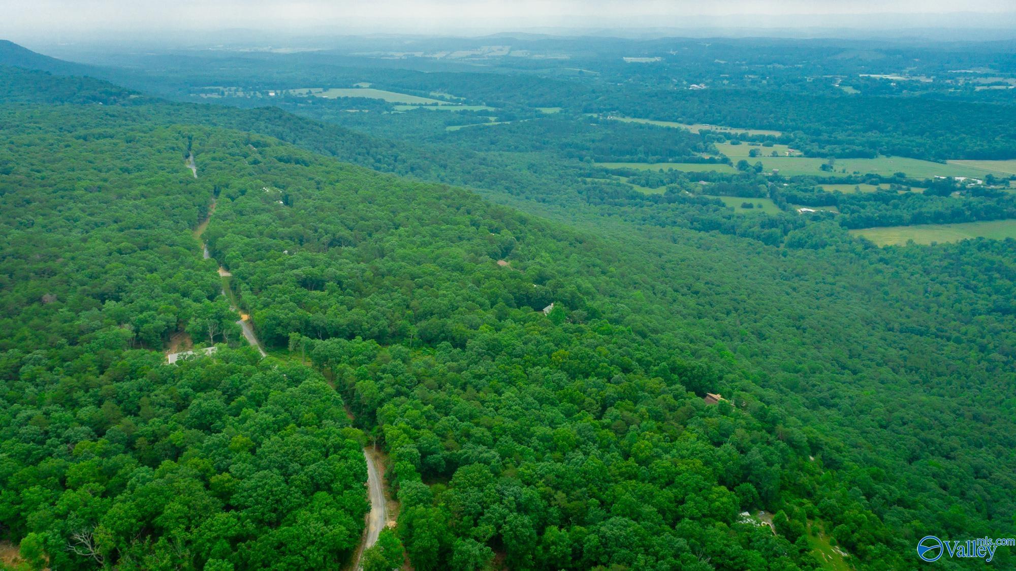 237 County Road 844, Mentone, Alabama image 12