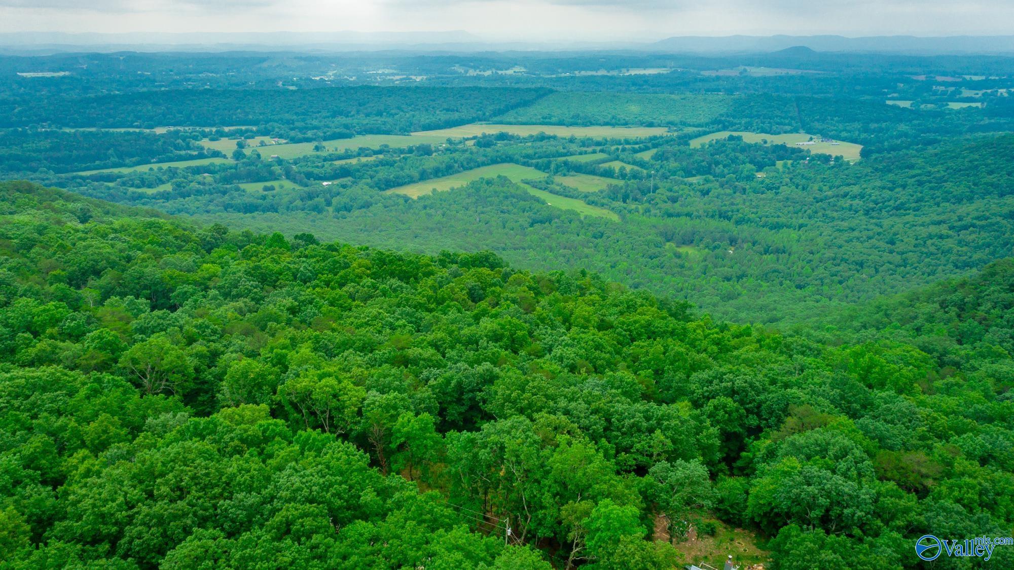 237 County Road 844, Mentone, Alabama image 10