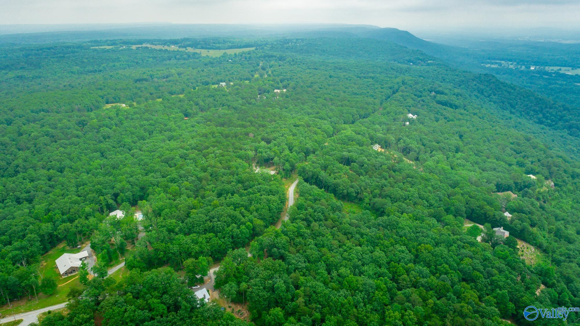 237 County Road 844, Mentone, Alabama image 20