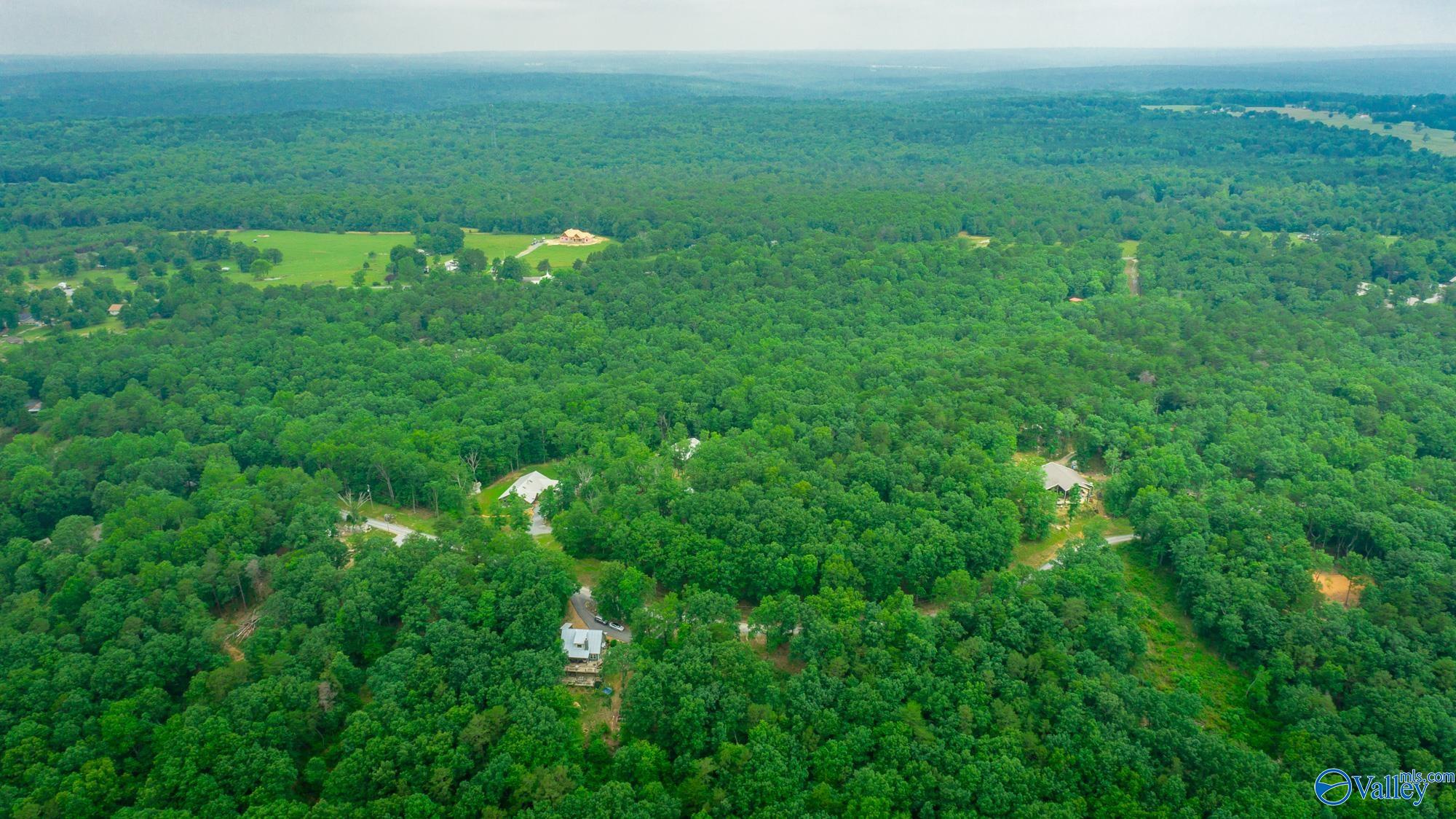 237 County Road 844, Mentone, Alabama image 21