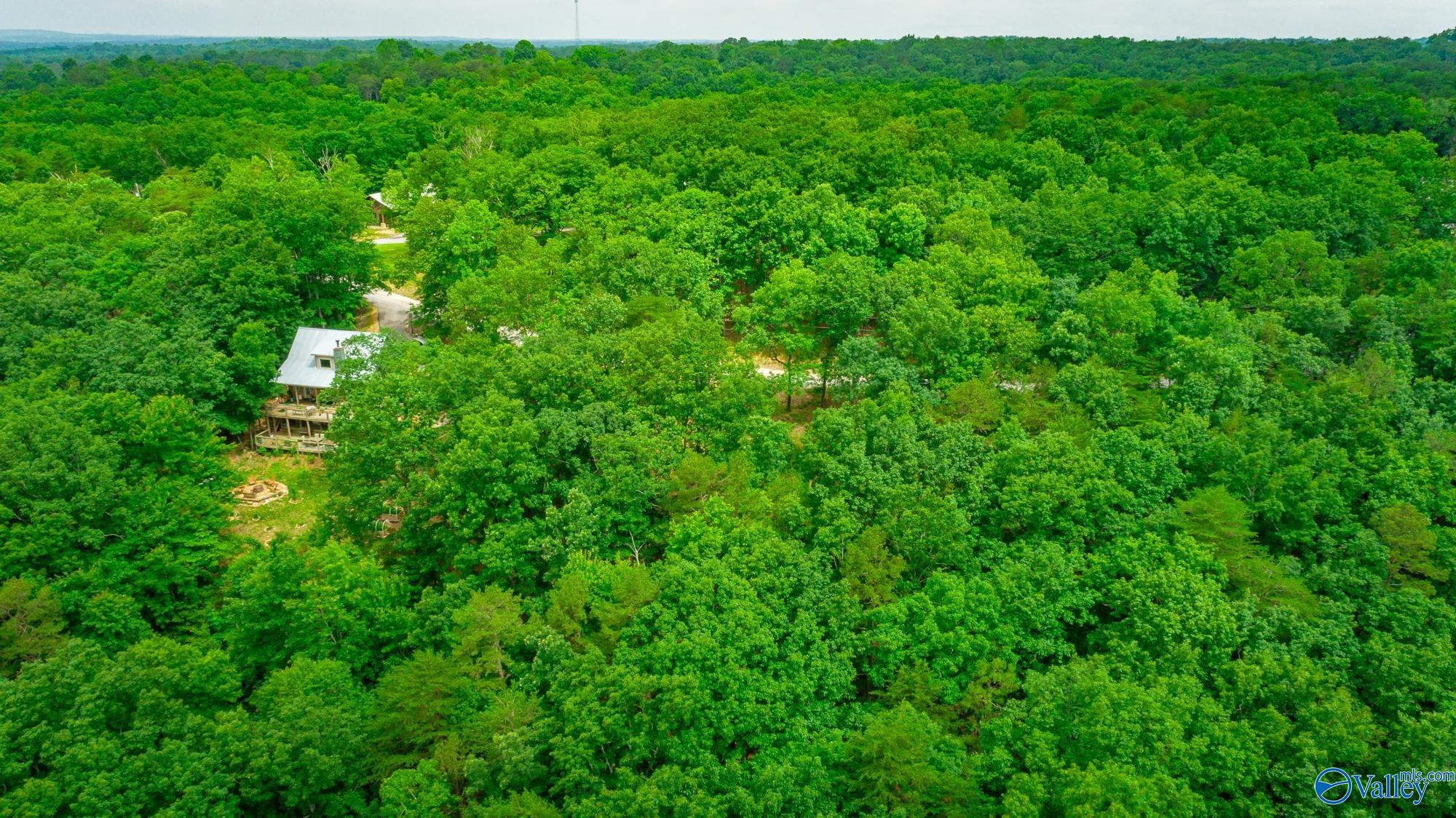 237 County Road 844, Mentone, Alabama image 13