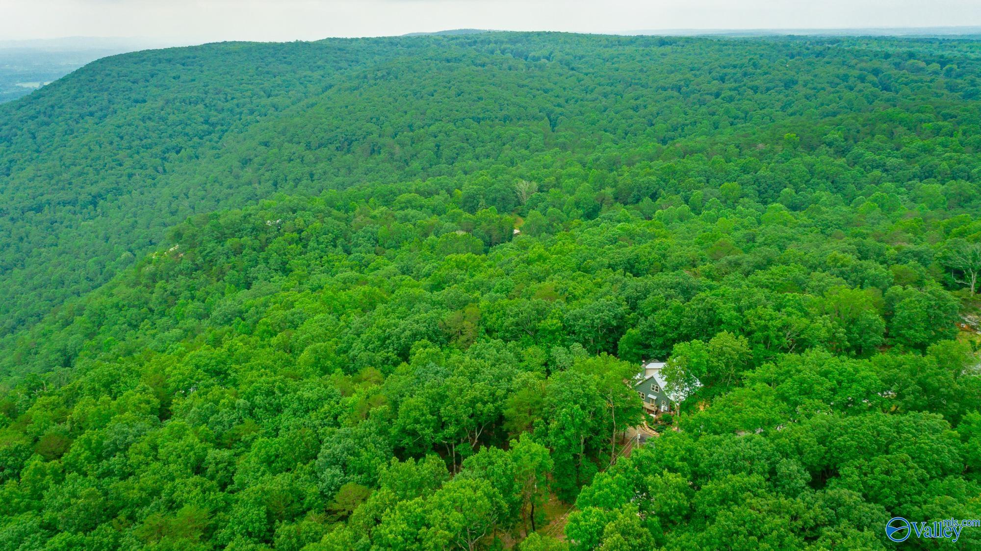 237 County Road 844, Mentone, Alabama image 17