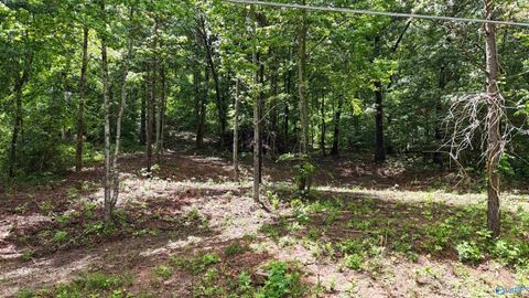 Vacant Land For Sale - LOT 118 Honeycomb Valley Road<br/> Grant, AL 35747