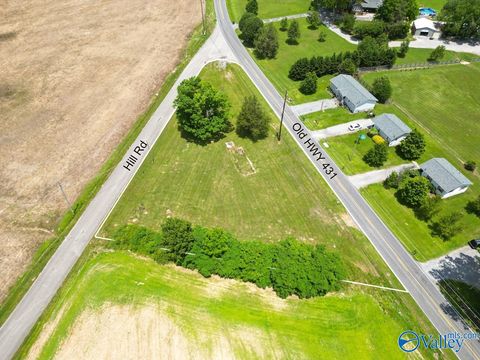 Vacant Land For Sale - 3702 Old Highway 431 Hwy<br/> Owens Cross Roads, AL 35763