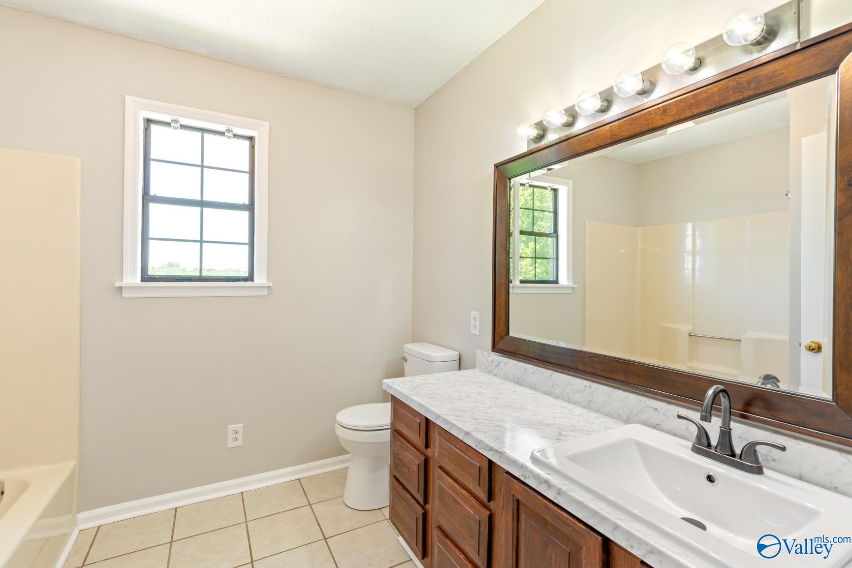171 County Road 542, Moulton, Alabama image 12