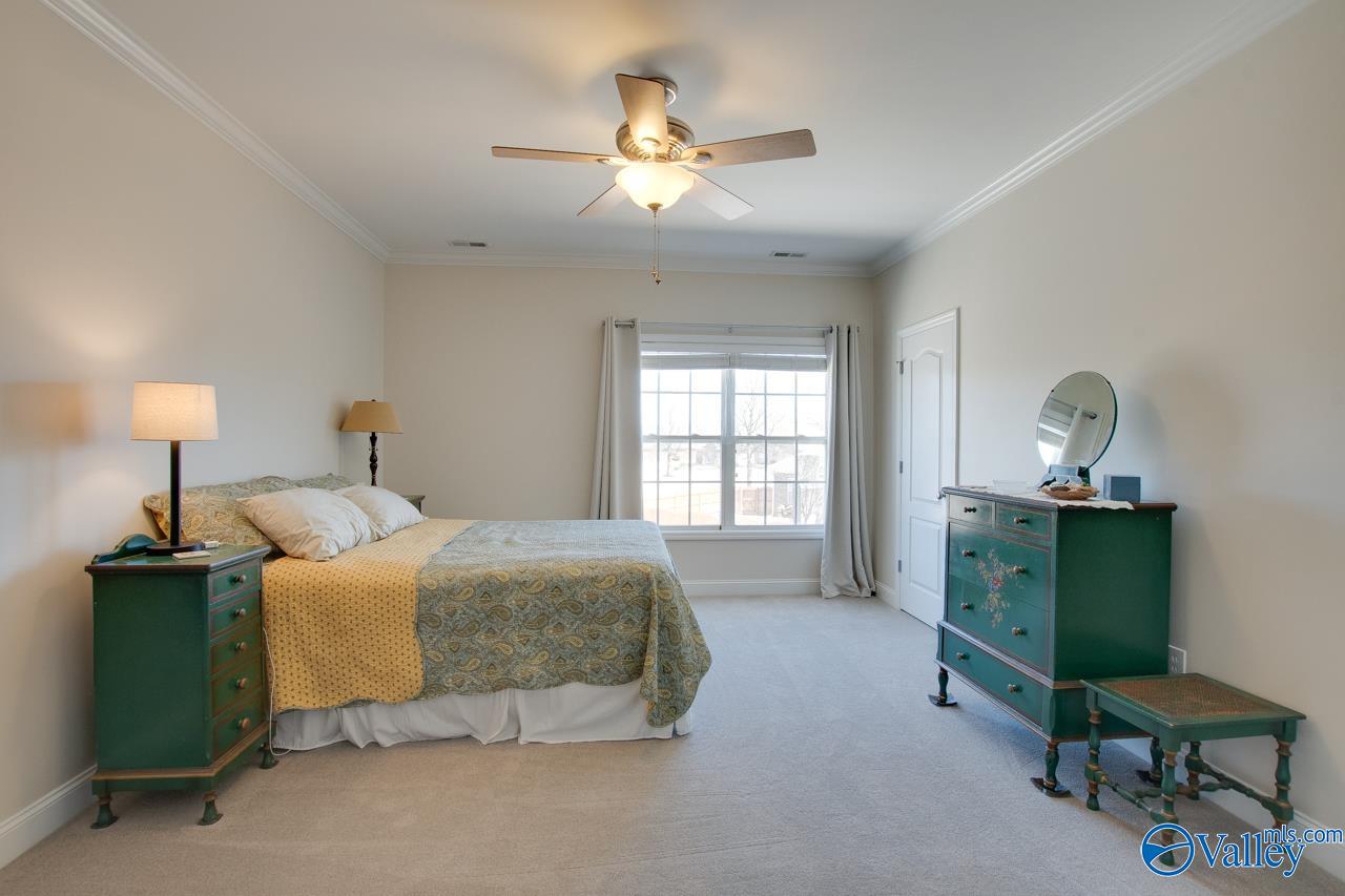 3051 Twelvestones Road, Owens Cross Roads, Alabama image 22